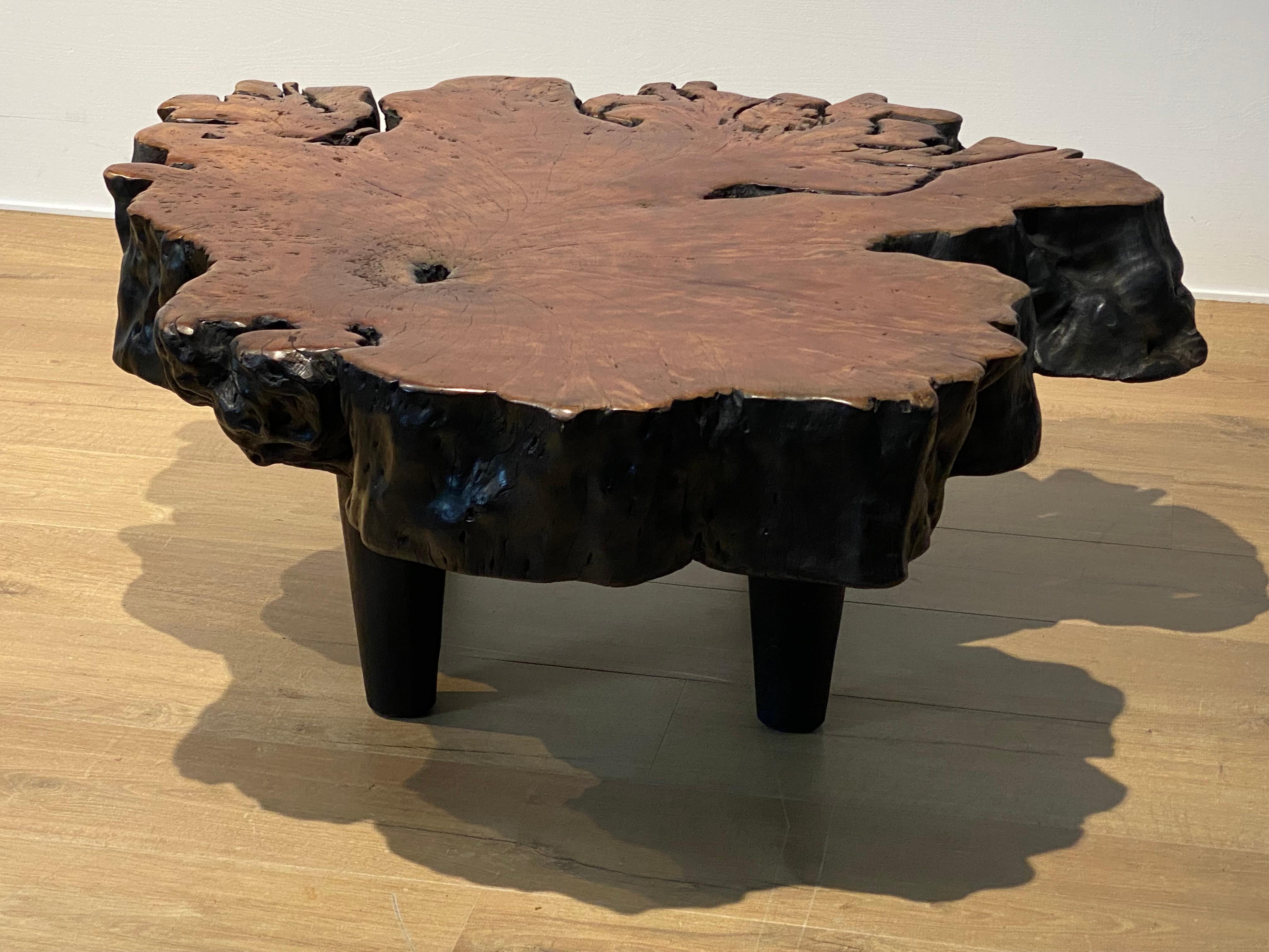 Außergewöhnlicher Sofatisch aus Lychee-Holz,
der Tisch steht auf 4 kleinen, eleganten Füßen,
der brutalistische Tisch hat seine ursprüngliche und natürliche Form des Baumes,
schöne Patina und Glanz des Lychee-Holzes,
leistungsstarkes Möbelstück