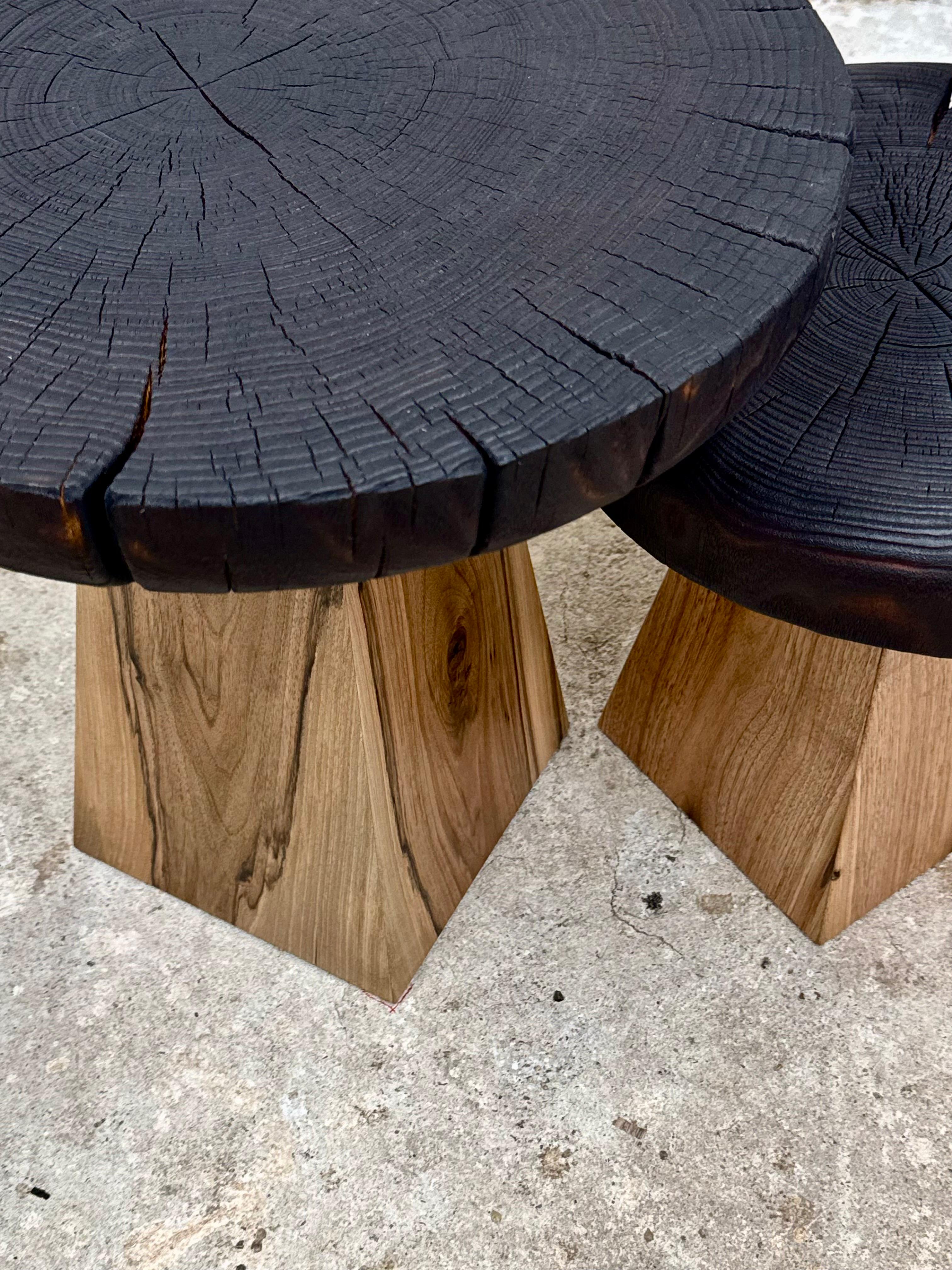 Hand-Carved Wabi-Sabi Organic Coffee Table Set in Solid Walnut by Sergio Vulpe For Sale