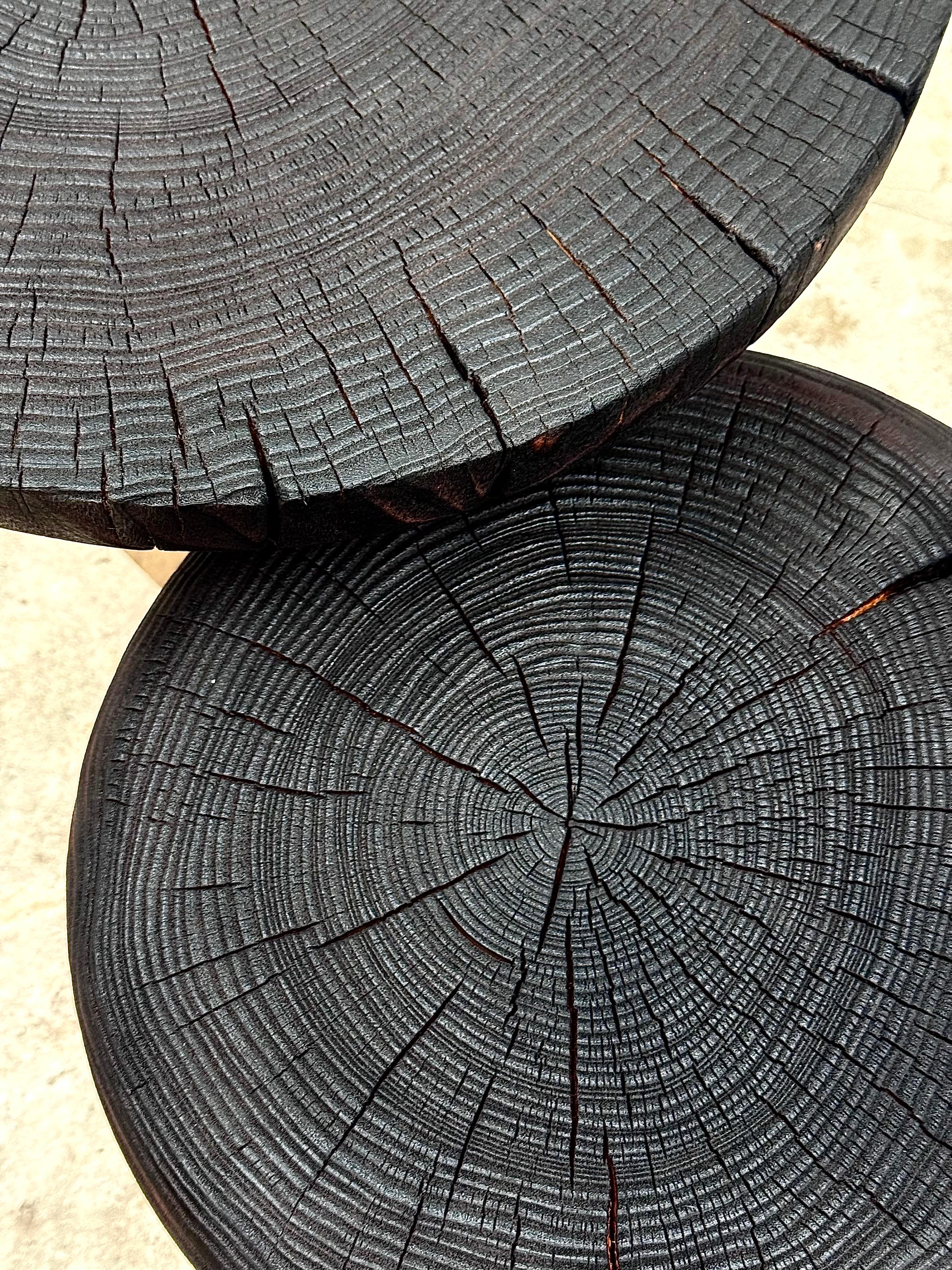 Wabi-Sabi Organic Coffee Table Set in Solid Walnut by Sergio Vulpe In New Condition For Sale In Burlăceni, Cahul District