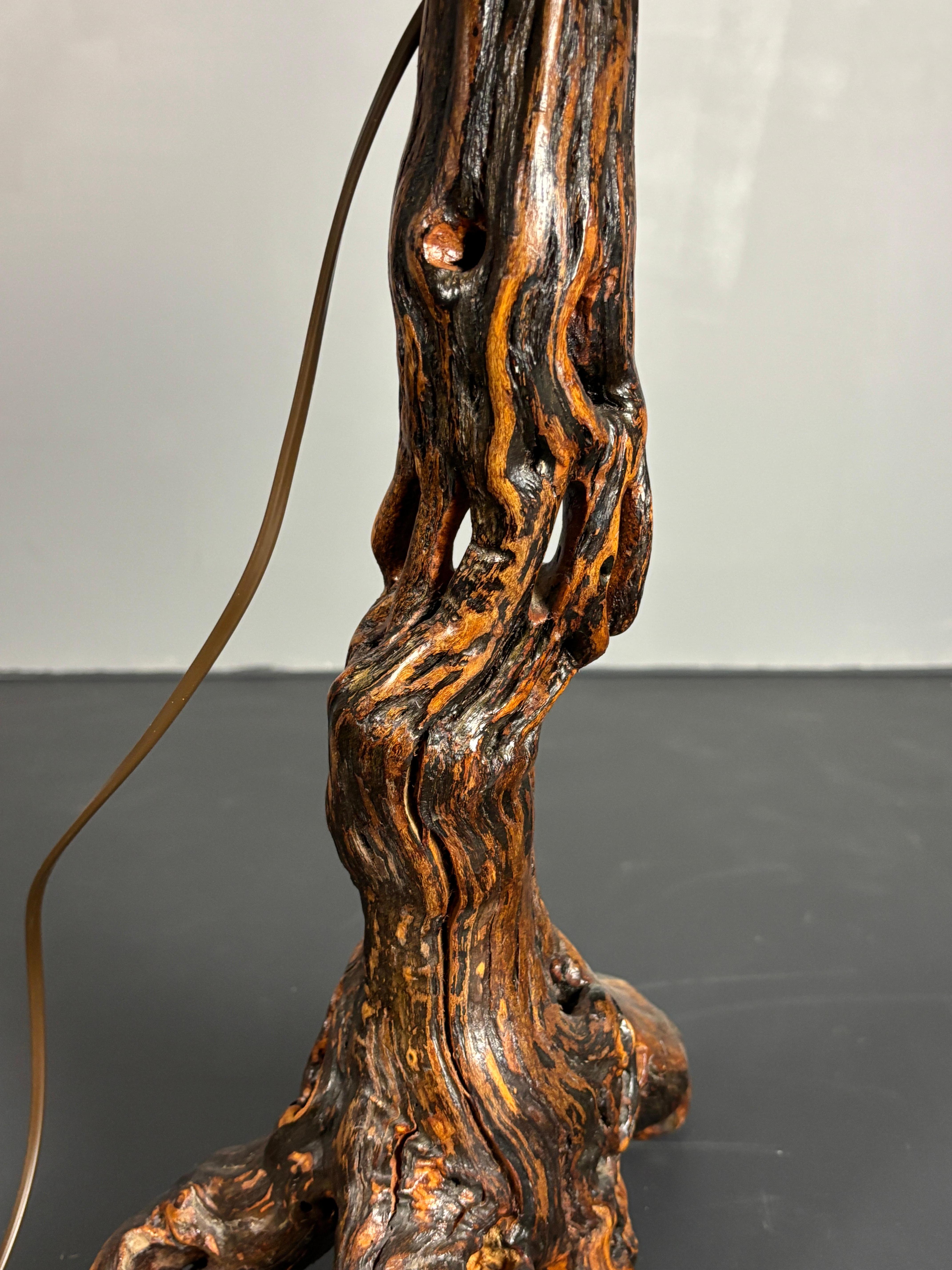 Brutalist Organic Large Vine Branch Lamp, France, 1950s For Sale 3