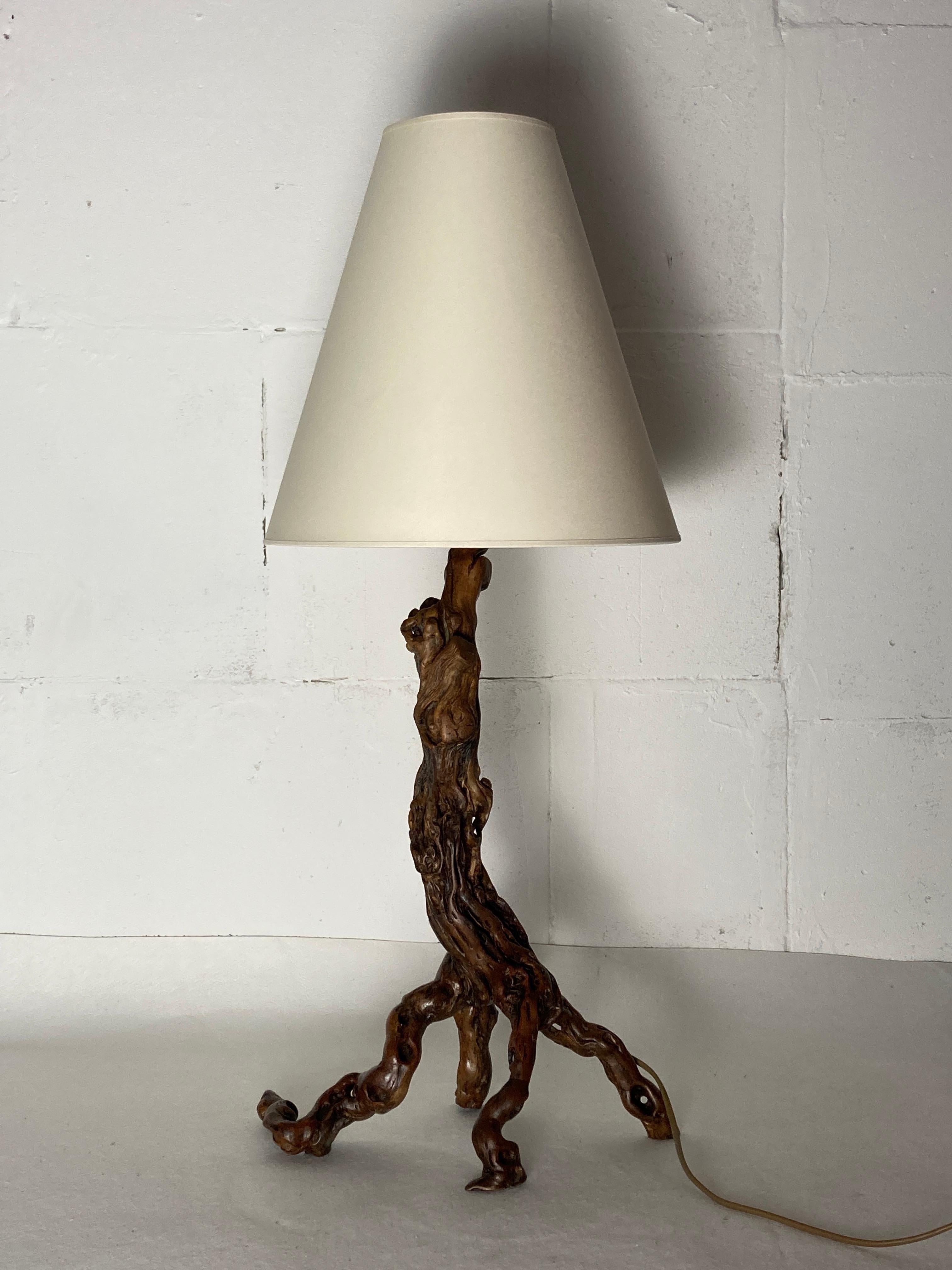 Hand-Crafted Brutalist Organic Large Vine Branch Lamp, France, 1950s For Sale