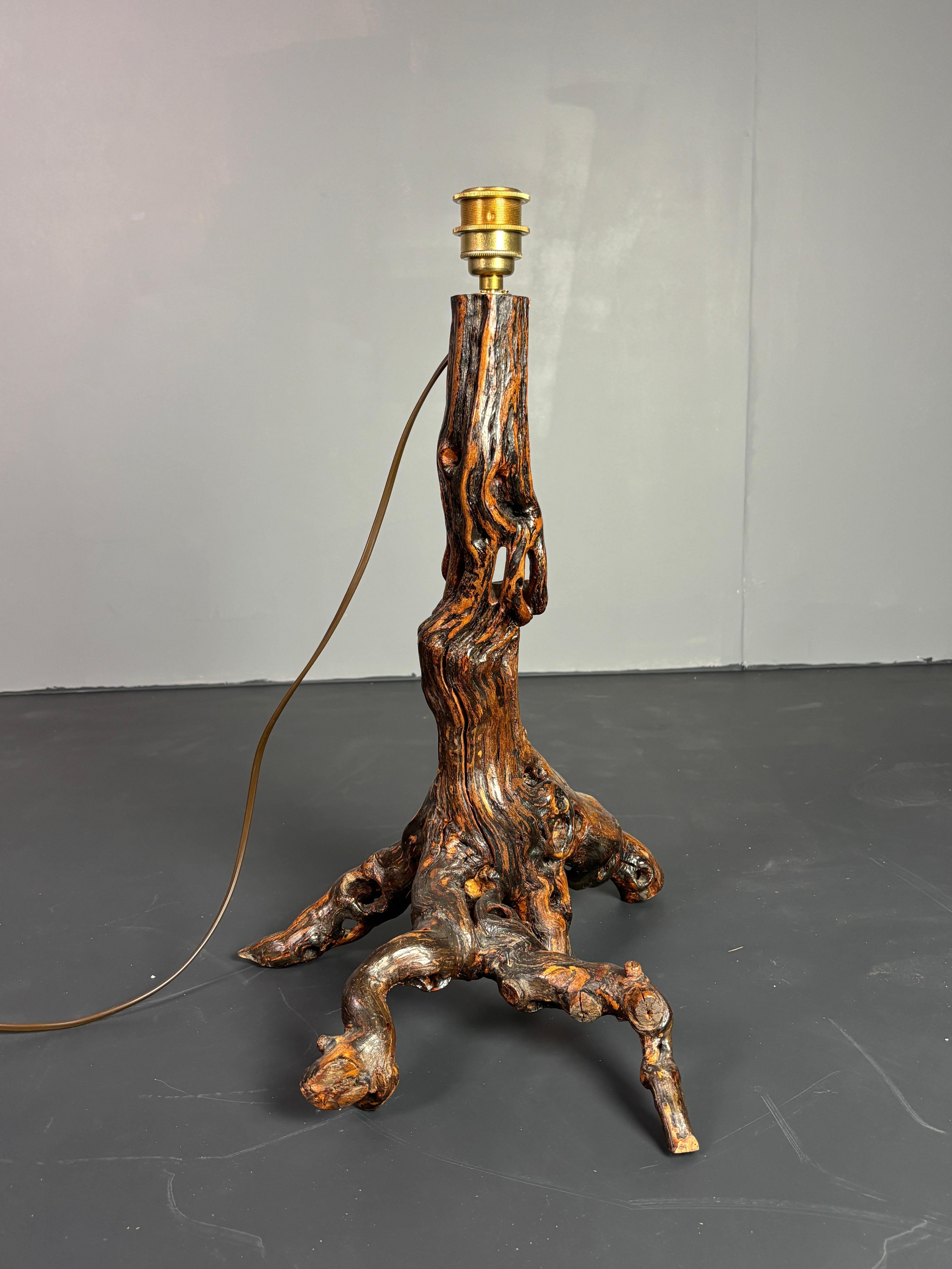 Hand-Crafted Brutalist Organic Large Vine Branch Lamp, France, 1950s For Sale