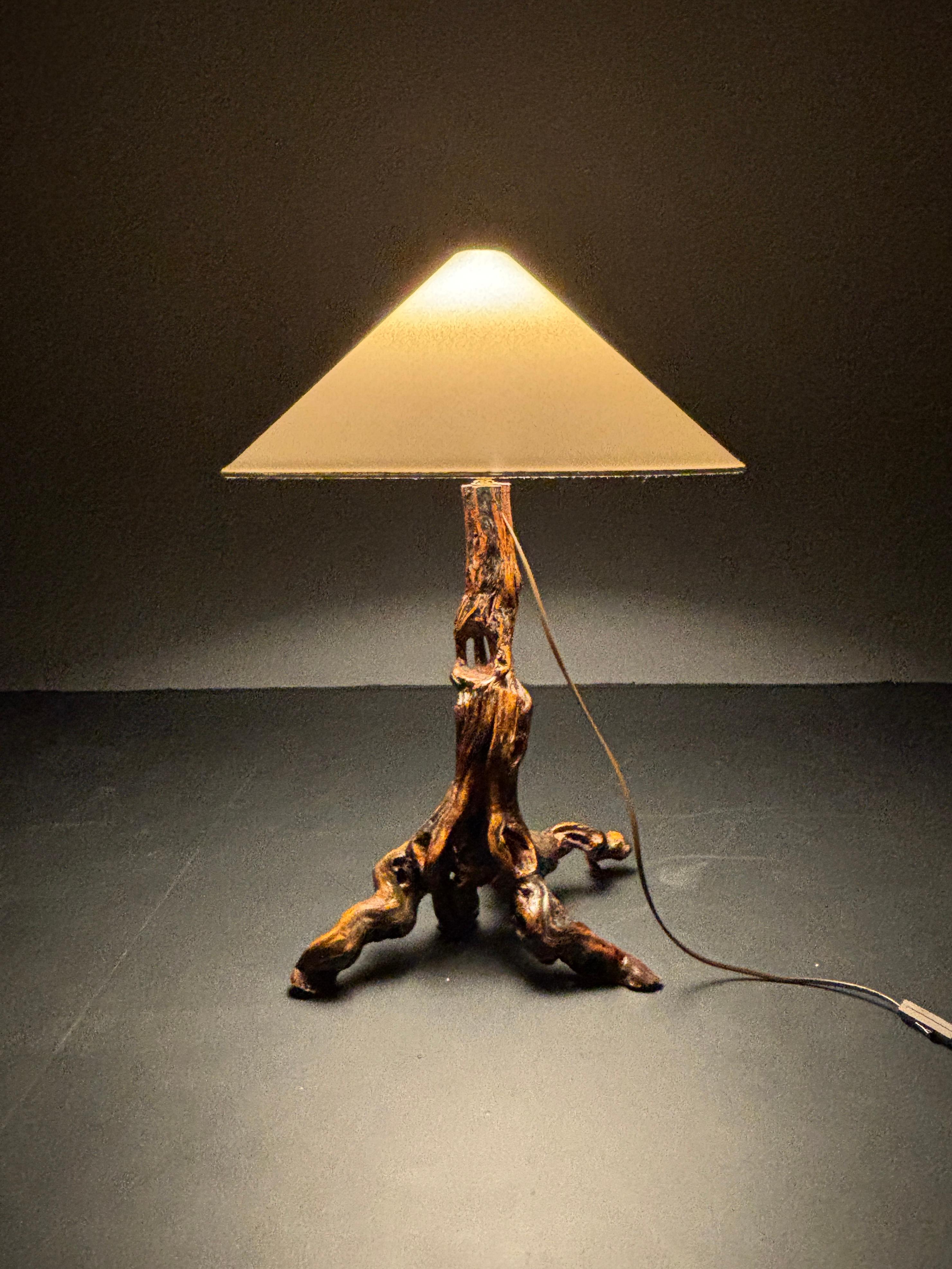 Mid-20th Century Brutalist Organic Large Vine Branch Lamp, France, 1950s For Sale