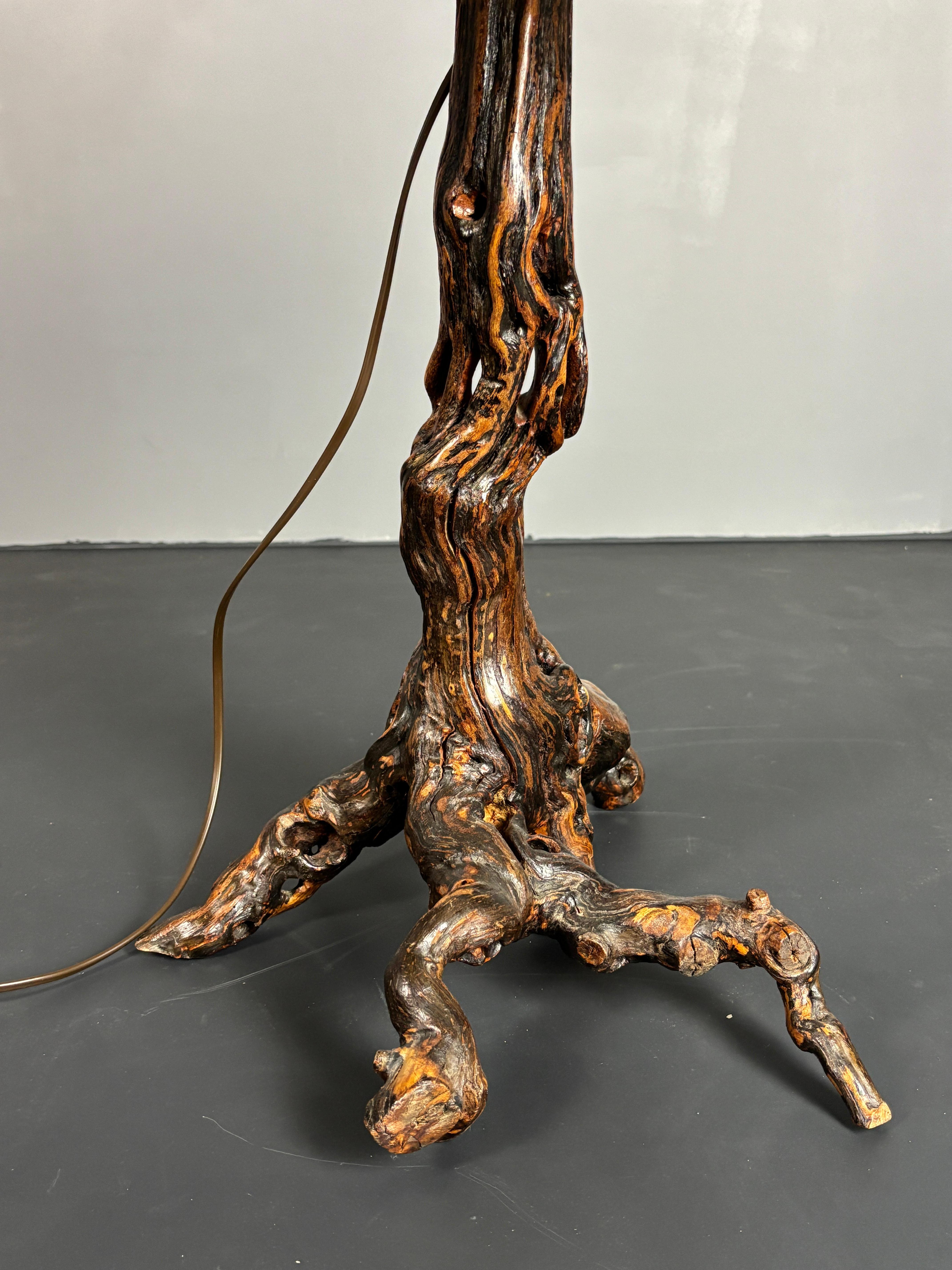 Brutalist Organic Large Vine Branch Lamp, France, 1950s For Sale 2