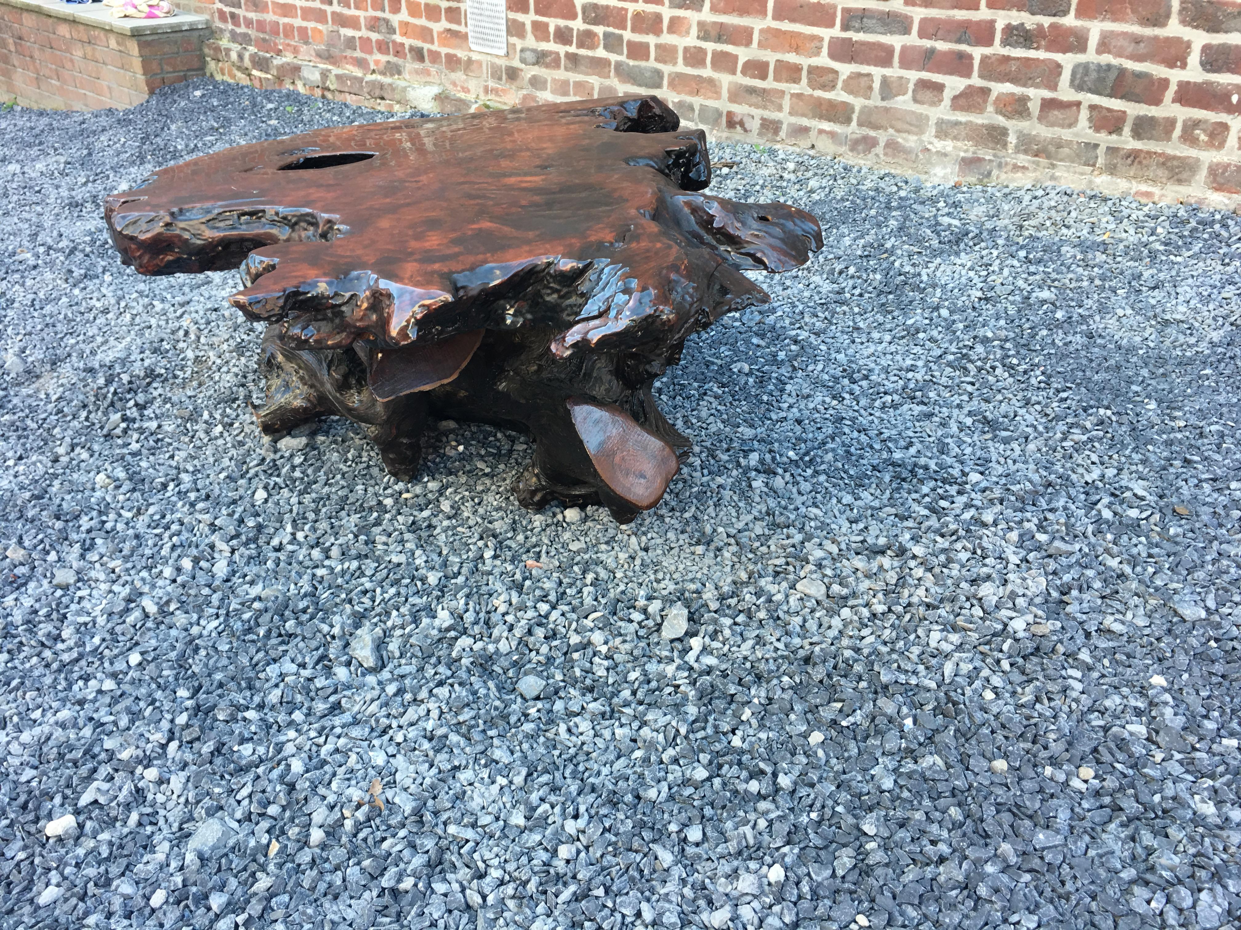 Wood Brutalist Organic Tree Root Coffee Table, circa 1970 For Sale