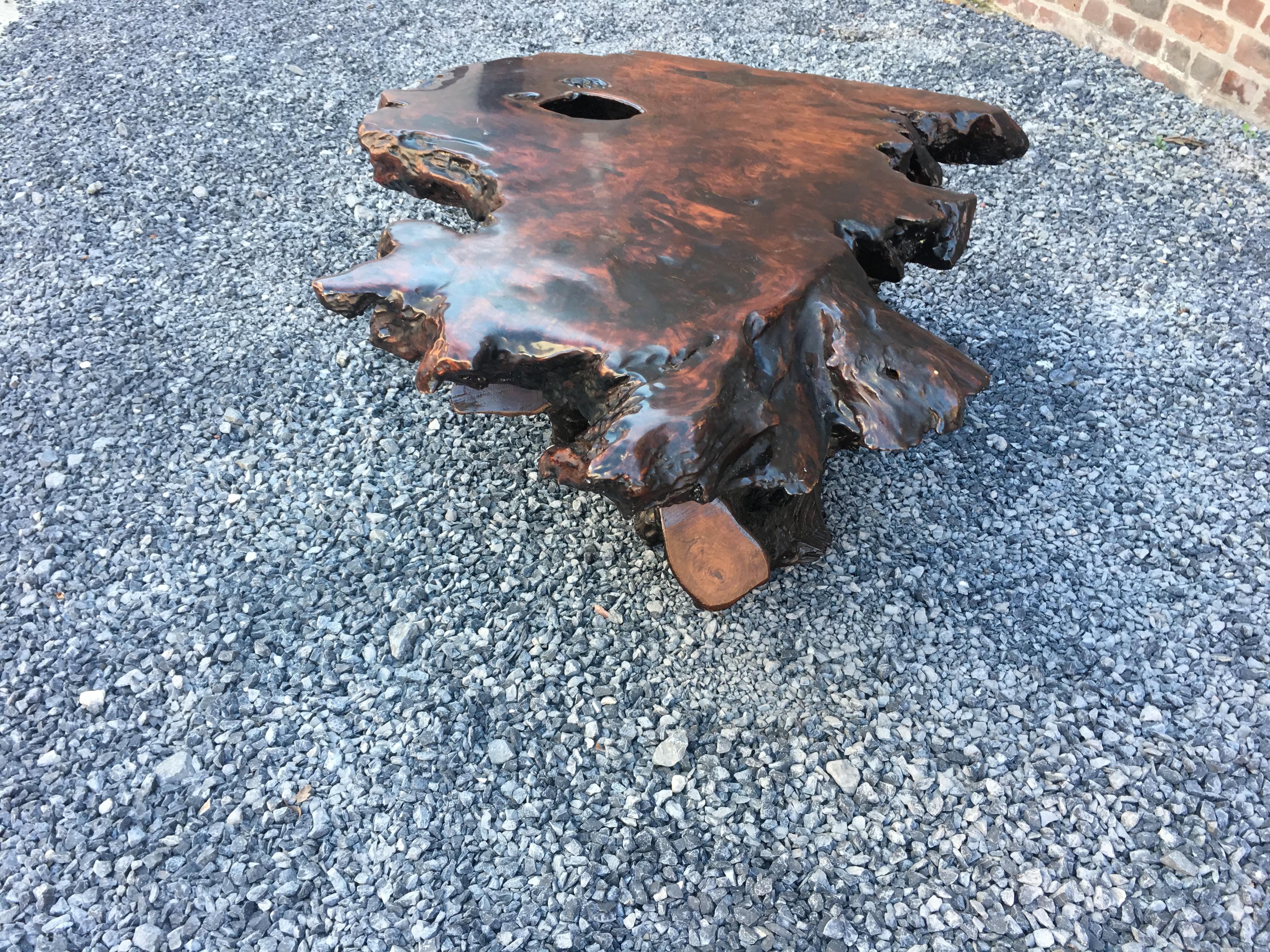 Brutalist Organic Tree Root Coffee Table, circa 1970 In Good Condition For Sale In Saint-Ouen, FR