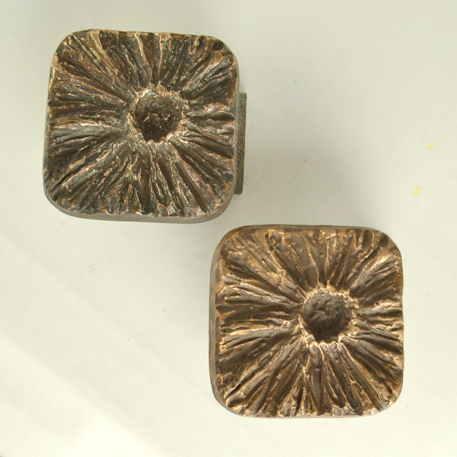 Pair of push and pull bronze door handles with organic expressionist flower relief for double doors or a single door on both sides. They are works of art for your doors.
These door handles were designed in the 1970s for front doors. They are multi