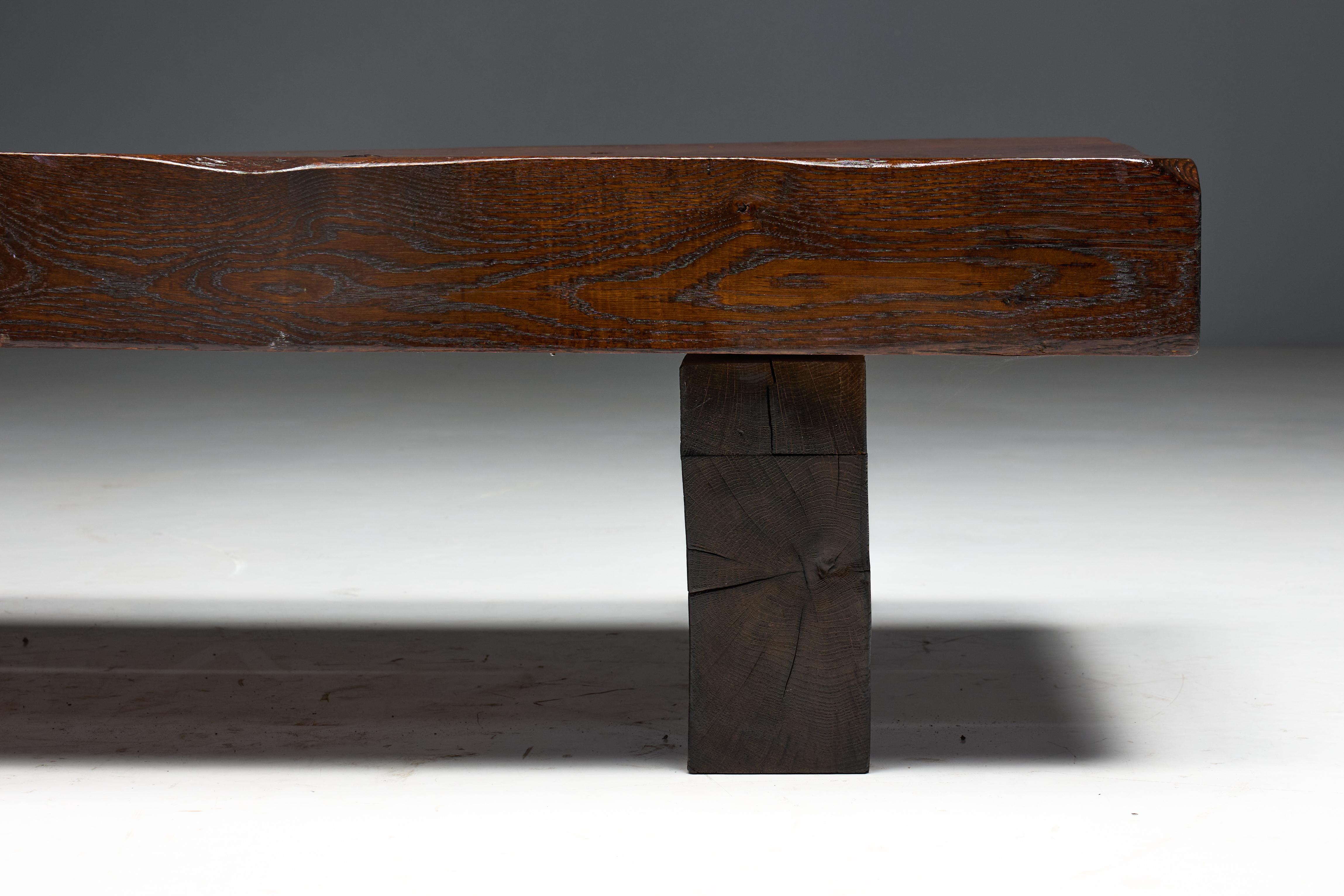 Brutalist Rectangular Coffee Table, France, 1950s For Sale 9