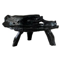 Brutalist Root Bench in Ebony