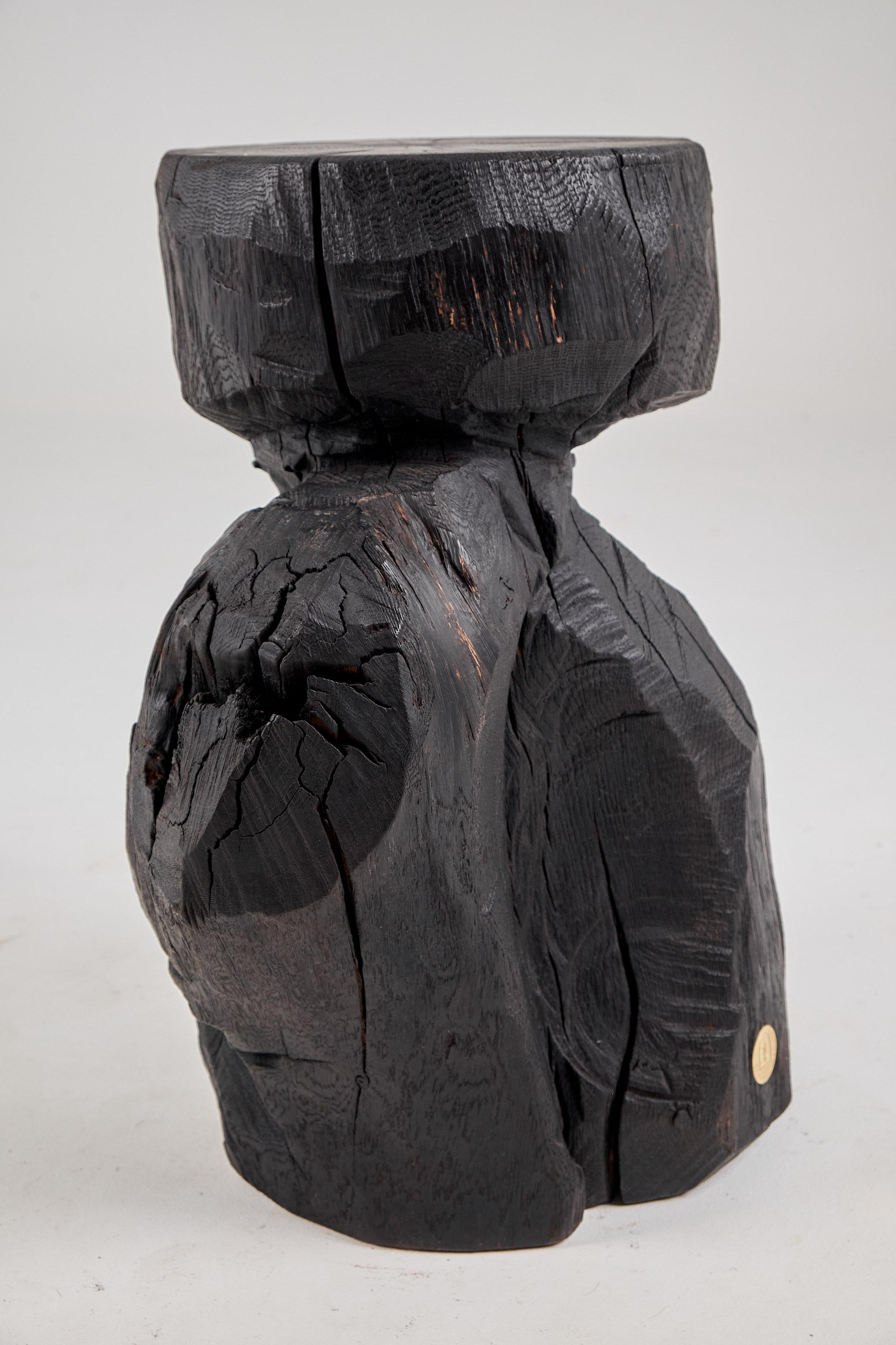 Brutalistischer skulpturaler Beistelltisch, massives gebranntes Oak Wood,  Einzigartig 1/1, Jownik im Angebot 6