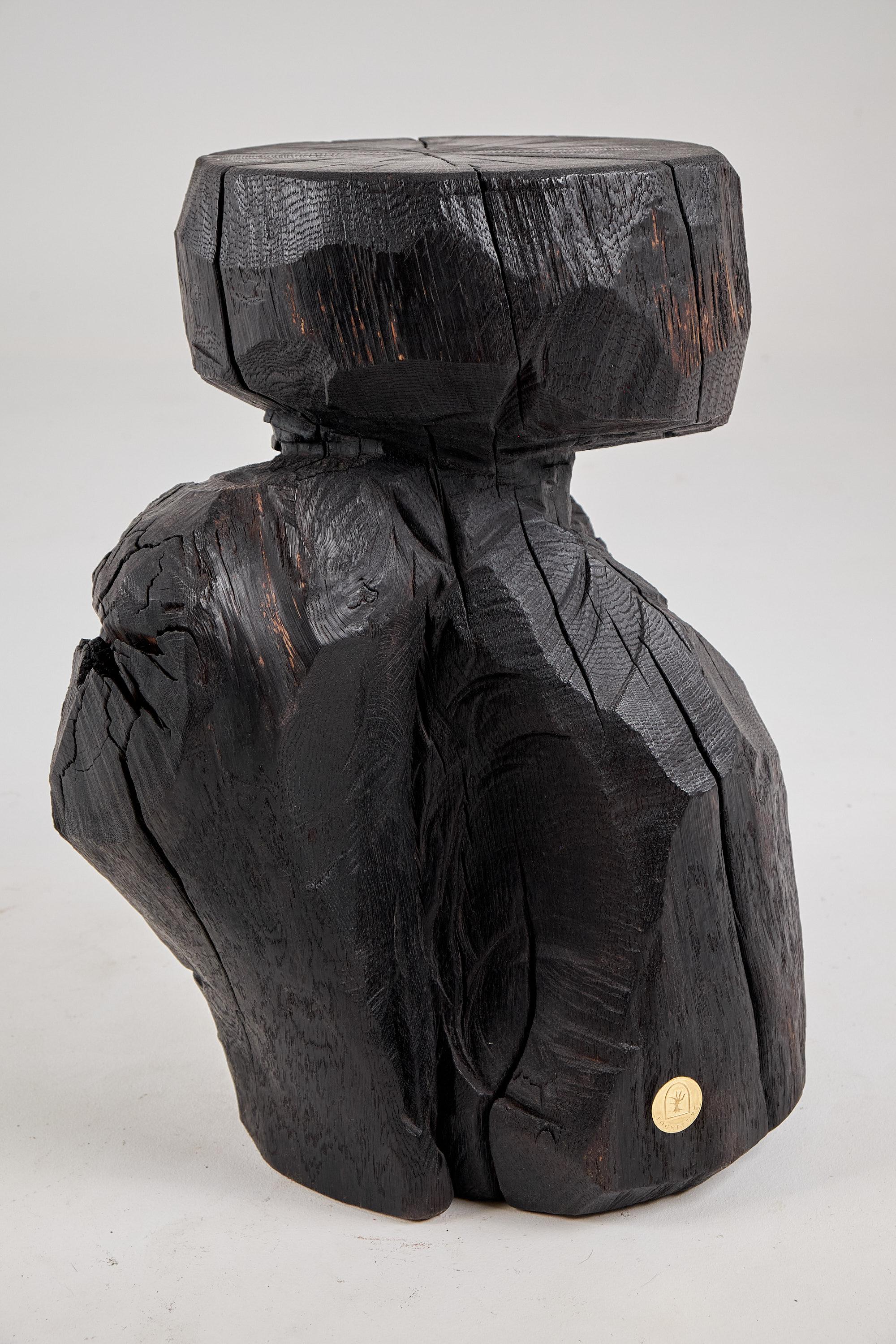 Brutalistischer skulpturaler Beistelltisch, massives gebranntes Oak Wood,  Einzigartig 1/1, Jownik im Angebot 9