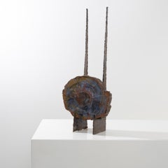 Brutalistische Skulptur eines versteinerten Araucarien aus Araucarien von Pia Manu