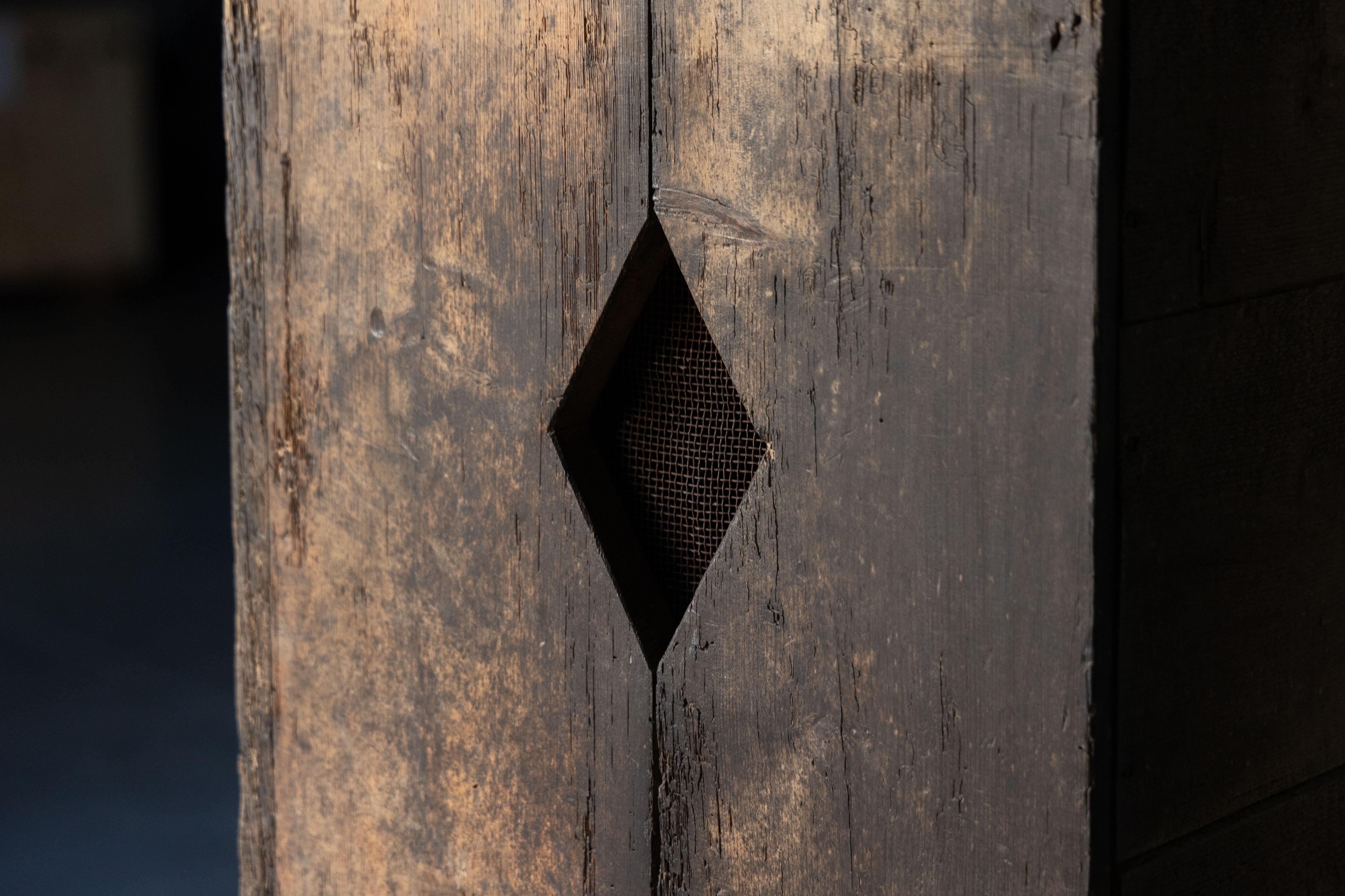 Gabinete Brutalista Travail Populaire, Francia, Principios del siglo XIX Madera en venta