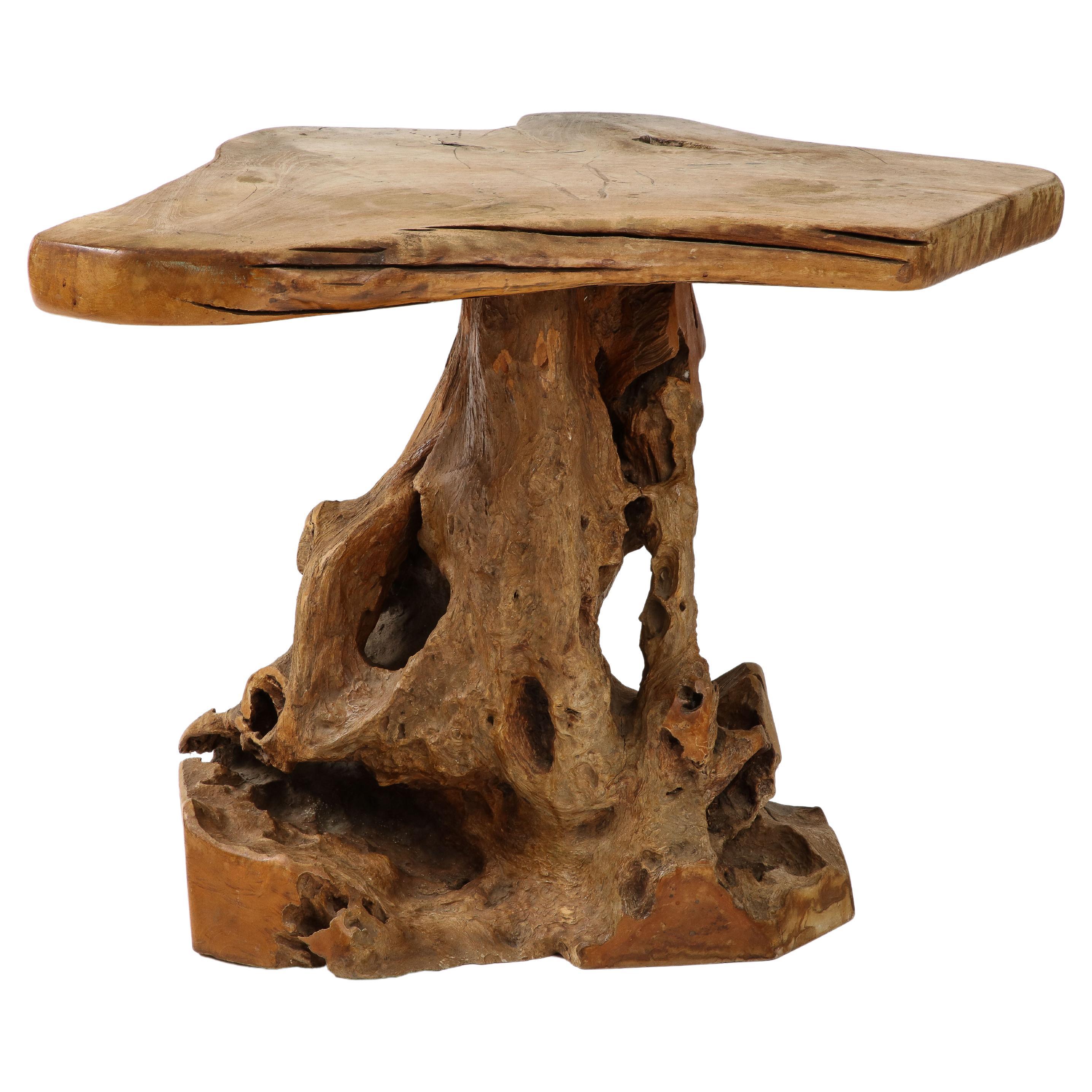 Brutalist Wabi Sabi Modern Tree Trunkroot Pedestal Table, France, circa 1950 For Sale