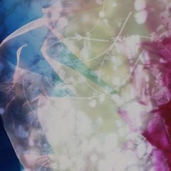 Sun Room Canopy Debris V