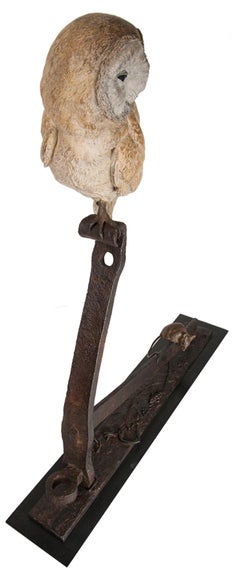 Food Chain, Owl , Mouse , Grain.