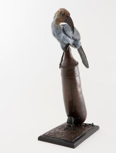 Hornbill and Calabash