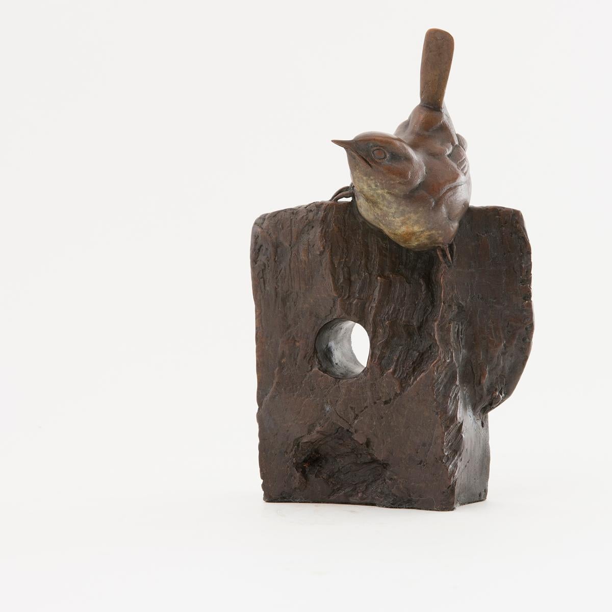 Bryan Hanlon Figurative Sculpture - Wren on Wood