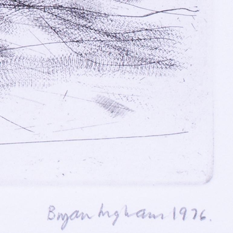 1976 Aguafuerte de Bryan Ingham, 