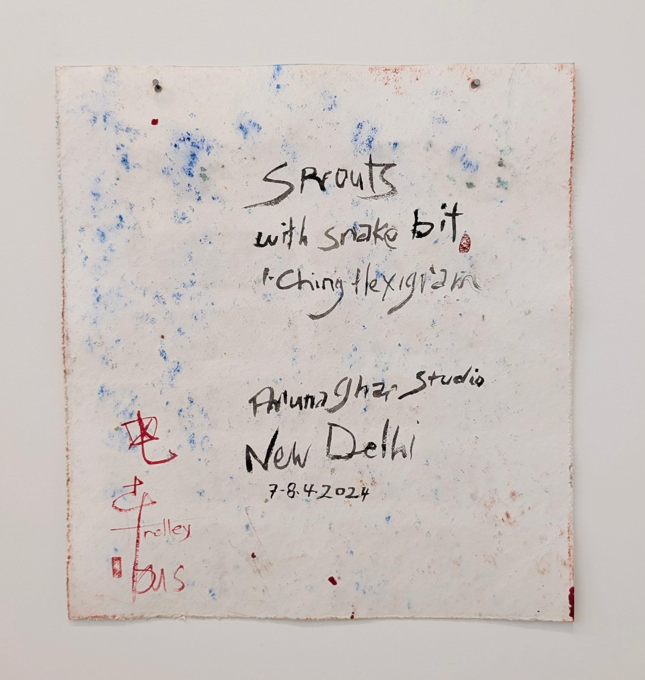 Sprouts with Snake bite, I-Ching Hexigram, Aruna Ghar Studio, New Dehli - Abstract Painting by Bryan Mulvihill 