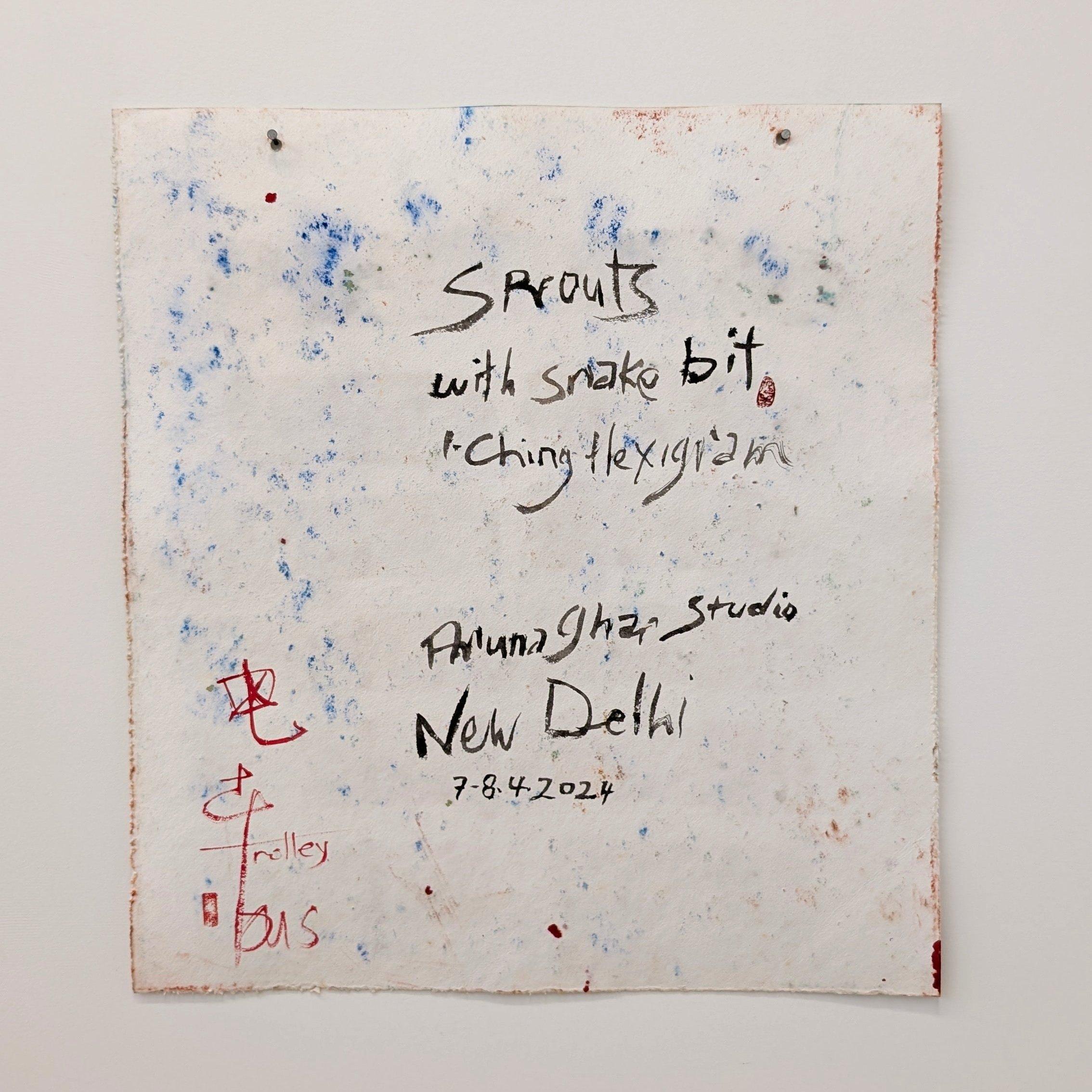 Sprouts with Snake bite, I-Ching Hexigram, Aruna Ghar Studio, New Dehli - Abstract Painting by Bryan Mulvihill 