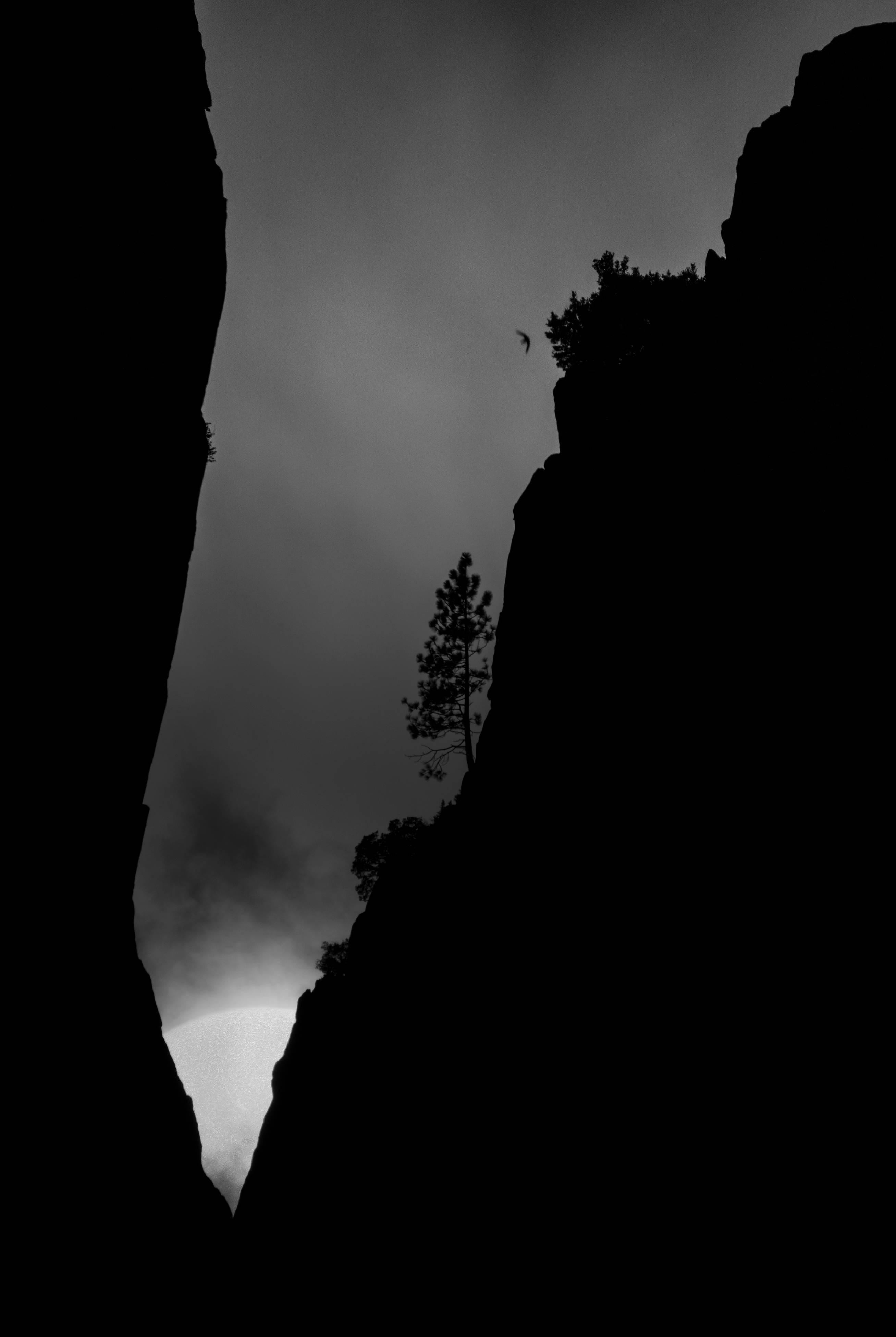 Landscape Photograph di Bryant Austin  - Dalla sicurezza a dove?, 2016