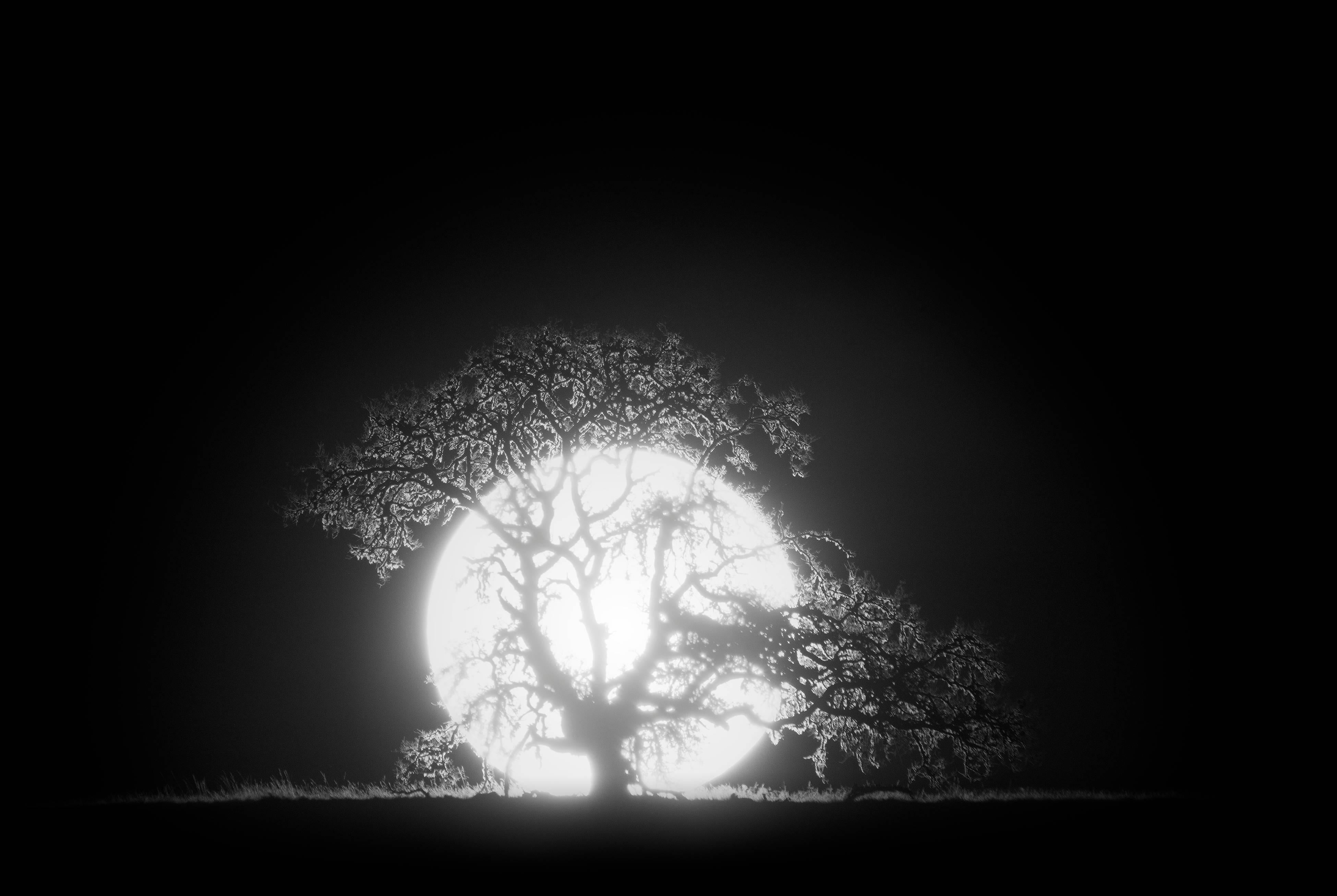 Bryant Austin  Landscape Photograph – Impermanence II, 2017