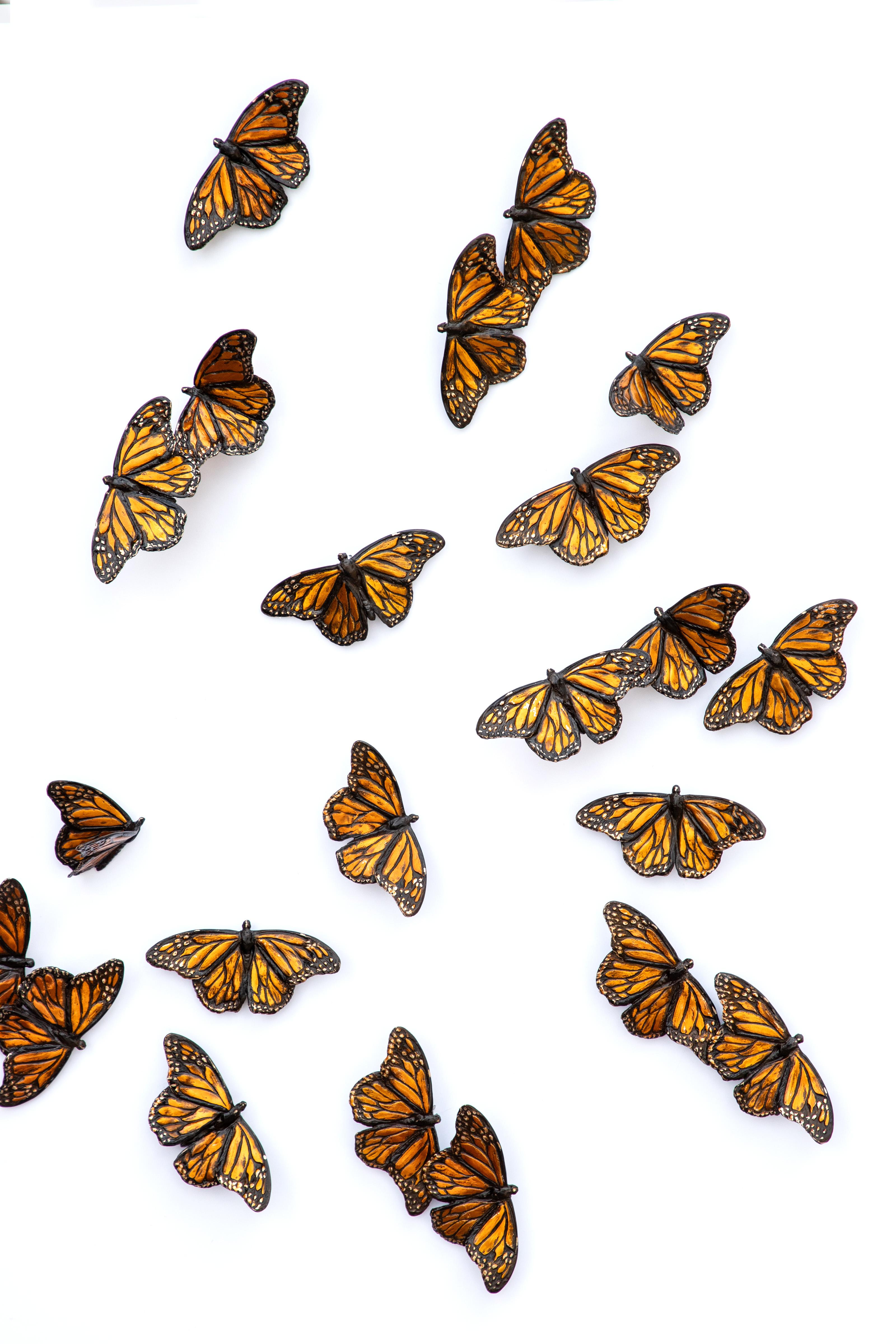 Monarchs Set of 30 - Realist Sculpture by Bryce Pettit