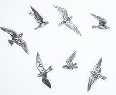 Swallows (Serie Latitude)