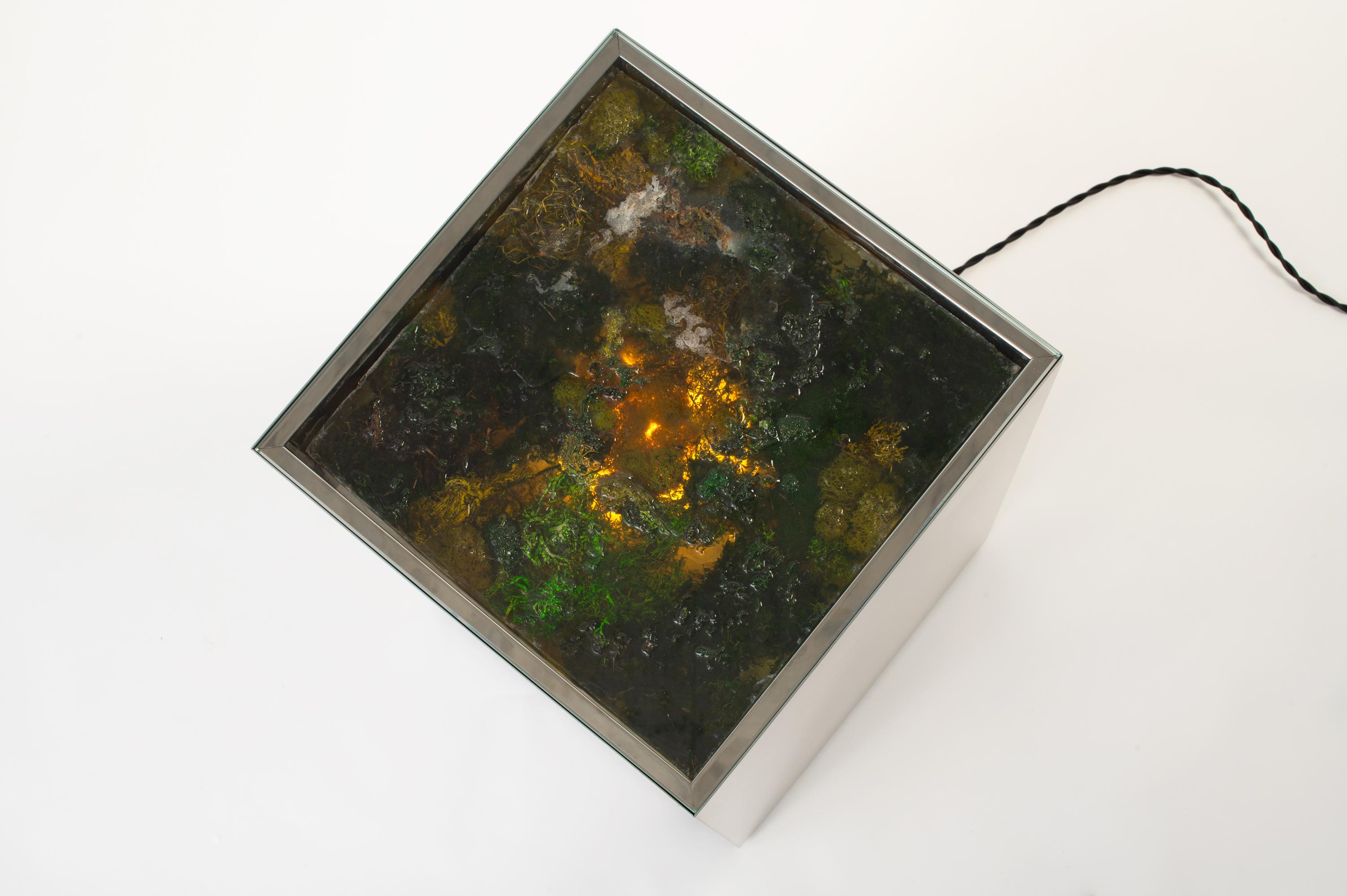 The Bryophyte Pedestal table takes form in a satin-rubbed stainless steel monolith. From above, the rectangular prism reveals an ecosystem of mosses suspended in resin. Dimmable LEDs illuminate the lichen from beneath. A reflective cavity and