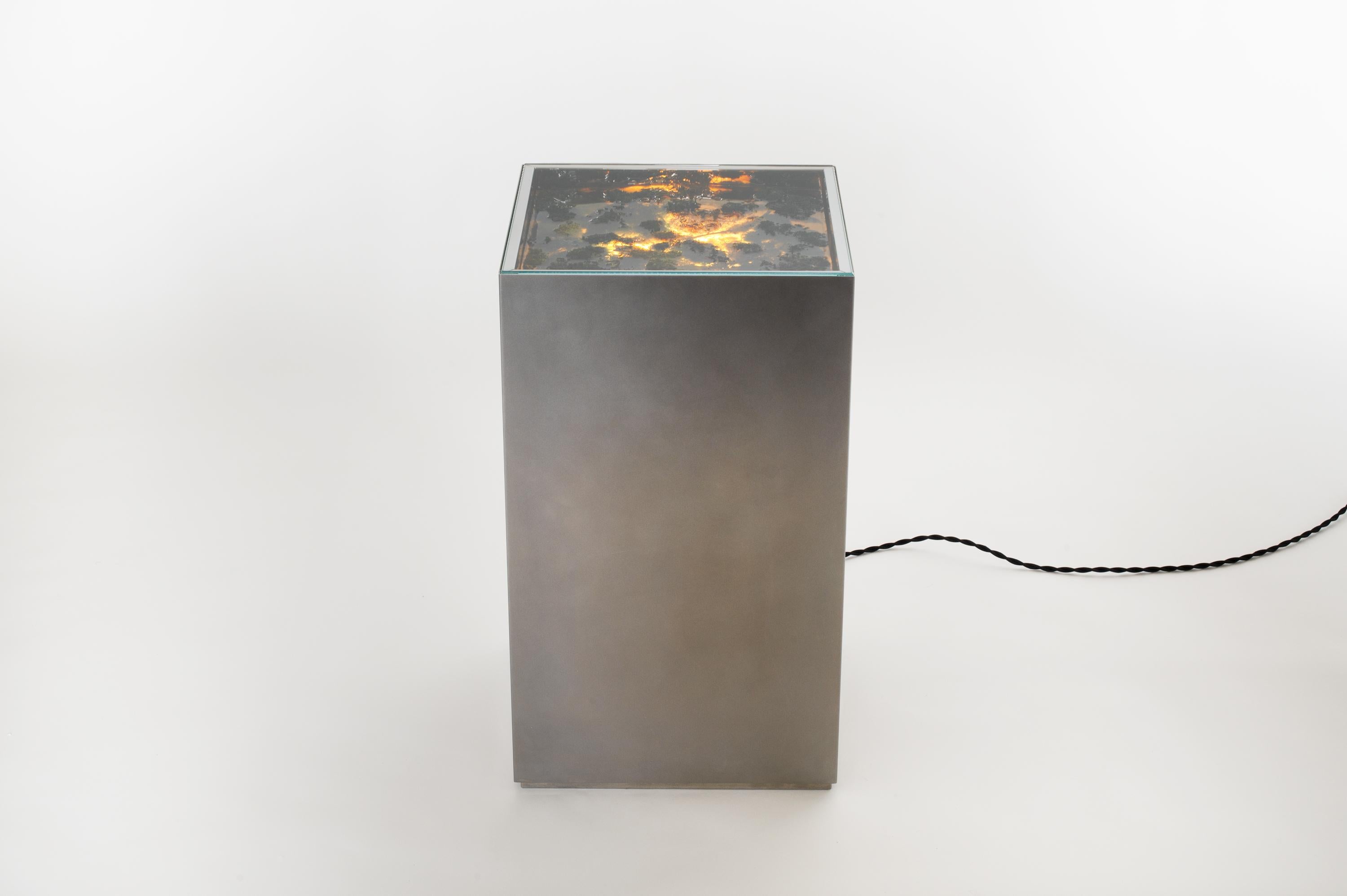 Polished Bryophyte Pedestal Table For Sale