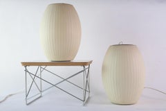 Bubble Lamp by George Nelson