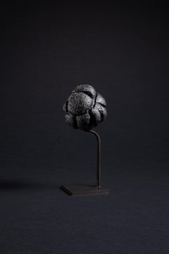 Bubbled Black Glass Tektite Formed by Meteorite Impact