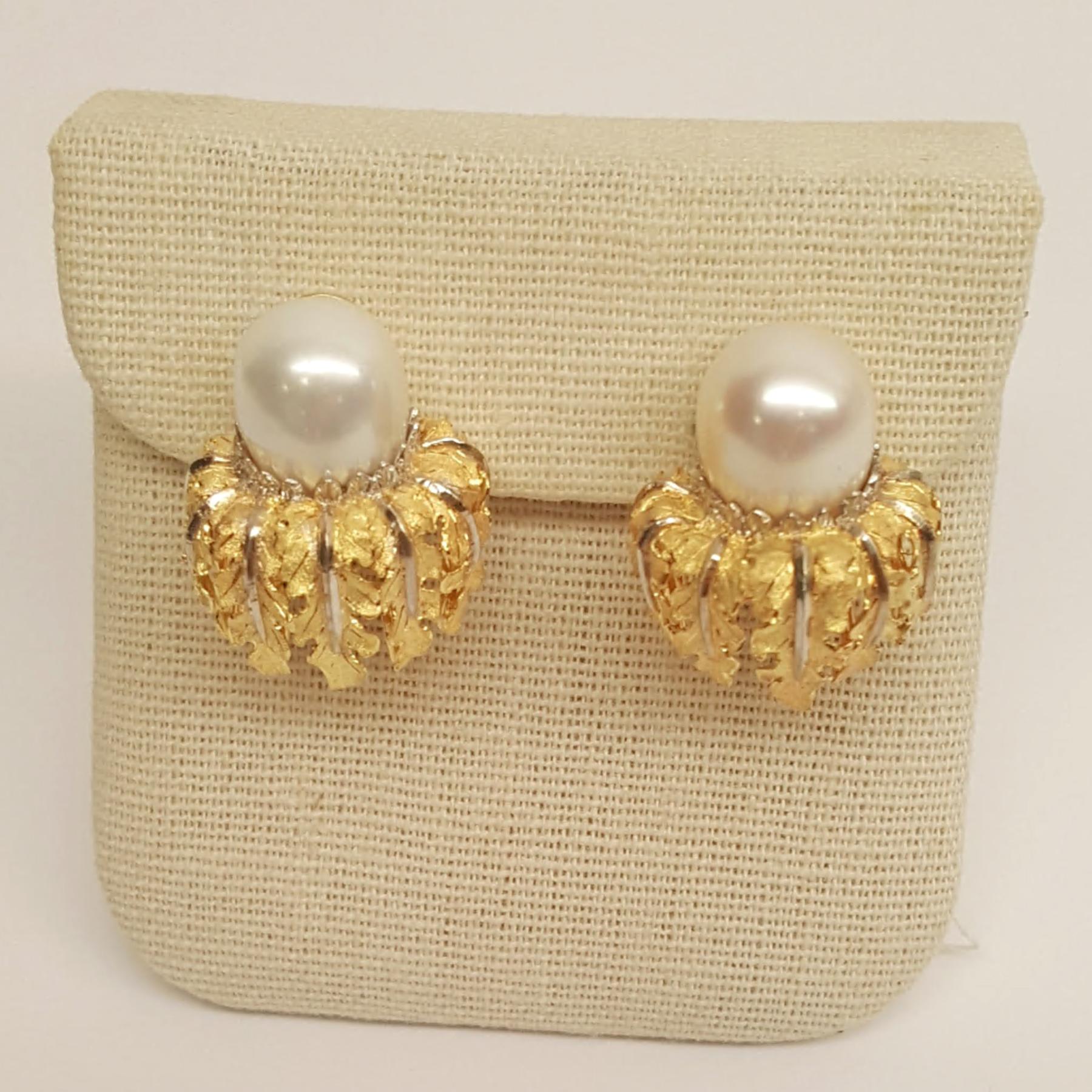 Women's Buccellati 18kt Yellow Gold South Sea Pearl Earrings