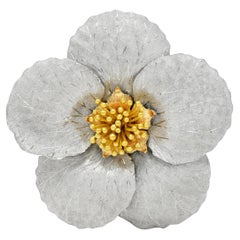Buccellati 1990, oro 18 carati tricolore, spilla vintage Fiori Magnolia