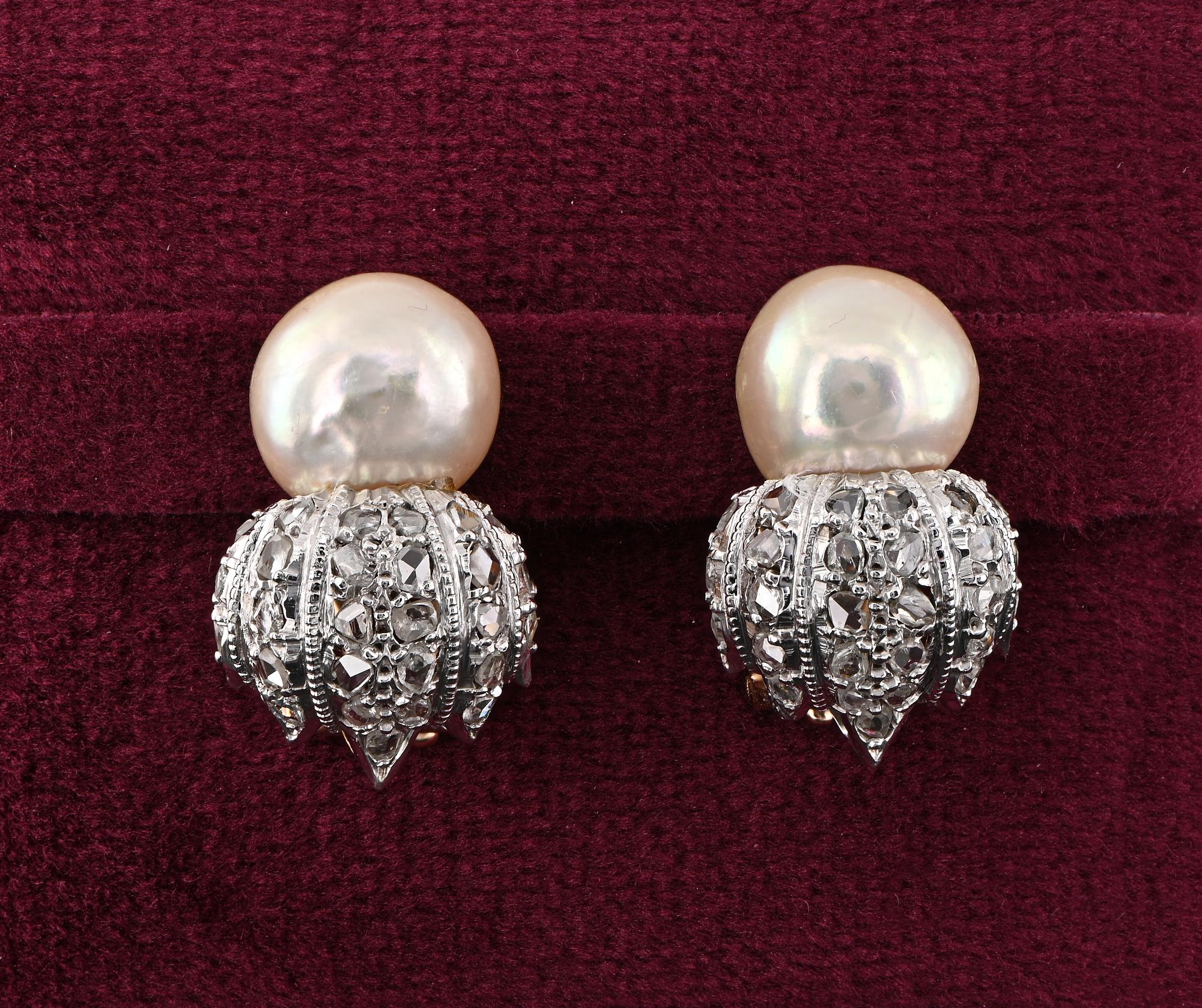 Buccellati
This very charming pair of earrings are from the Buccellati maison vintage pair, approx 1960 ca.
Hand crafted of solid 18 KT gold and silver portions- Signed Buccellati
Classy style by Buccellati launched by Mario and repeated in
