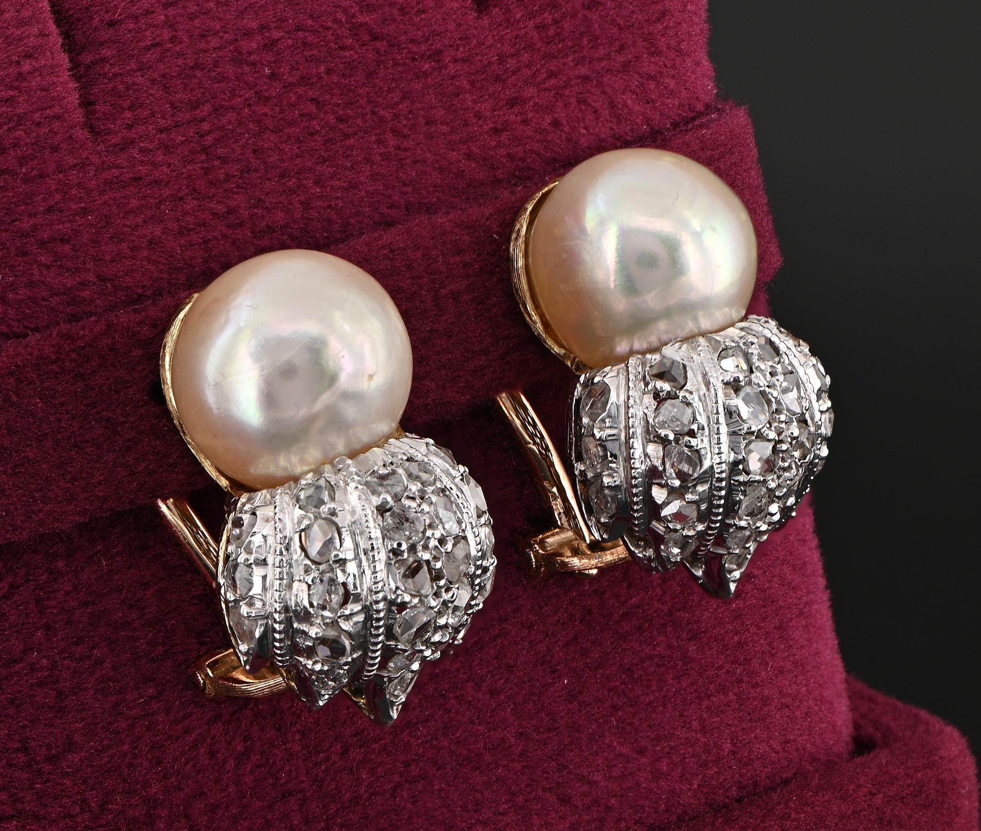 Renaissance Revival Buccellati 9.5 mm. Pearl Rose Cut Diamond Earrings For Sale