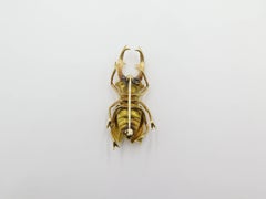 Gold-Käfer-Brosche von Cccellati