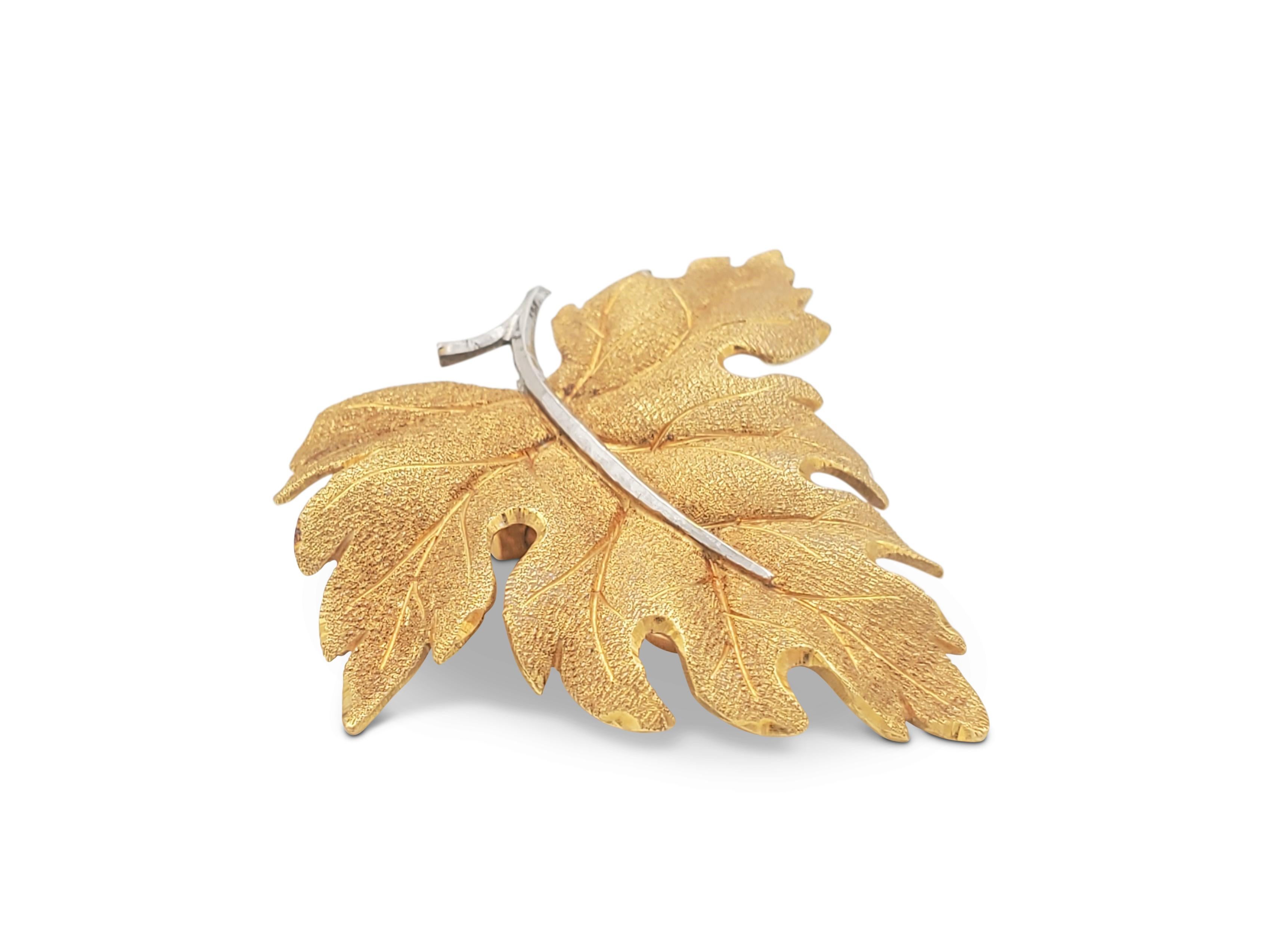 Buccellati Gold Leaf Earrings 1