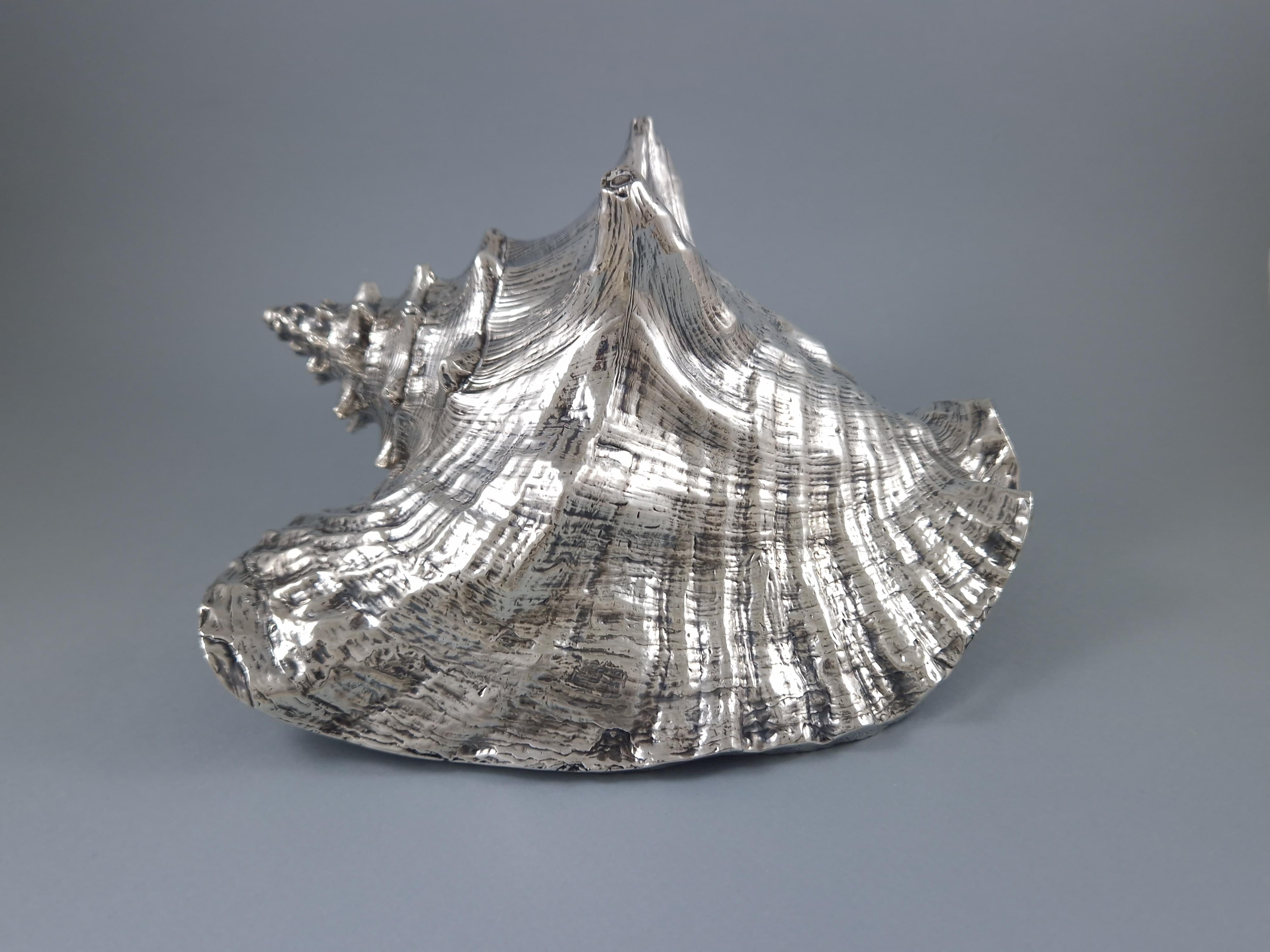 Large mounted shell in sterling silver 

Hallmark of Frederico Buccellati and 999 silver 

Length: 22 cm 
Width: 18 cm 
Height: 13 cm