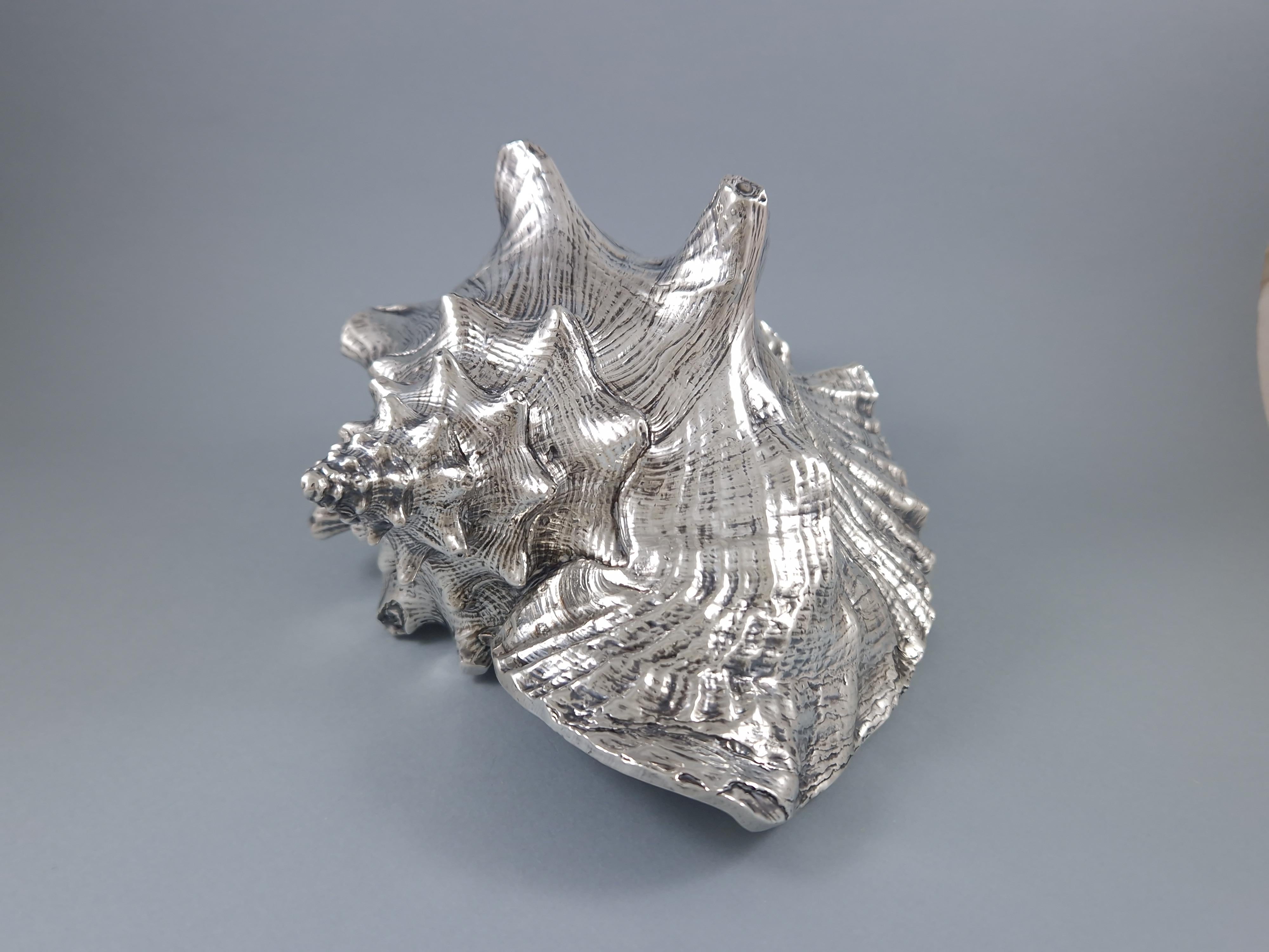Italian Buccellati - Large Mounted Shell In Sterling Silver