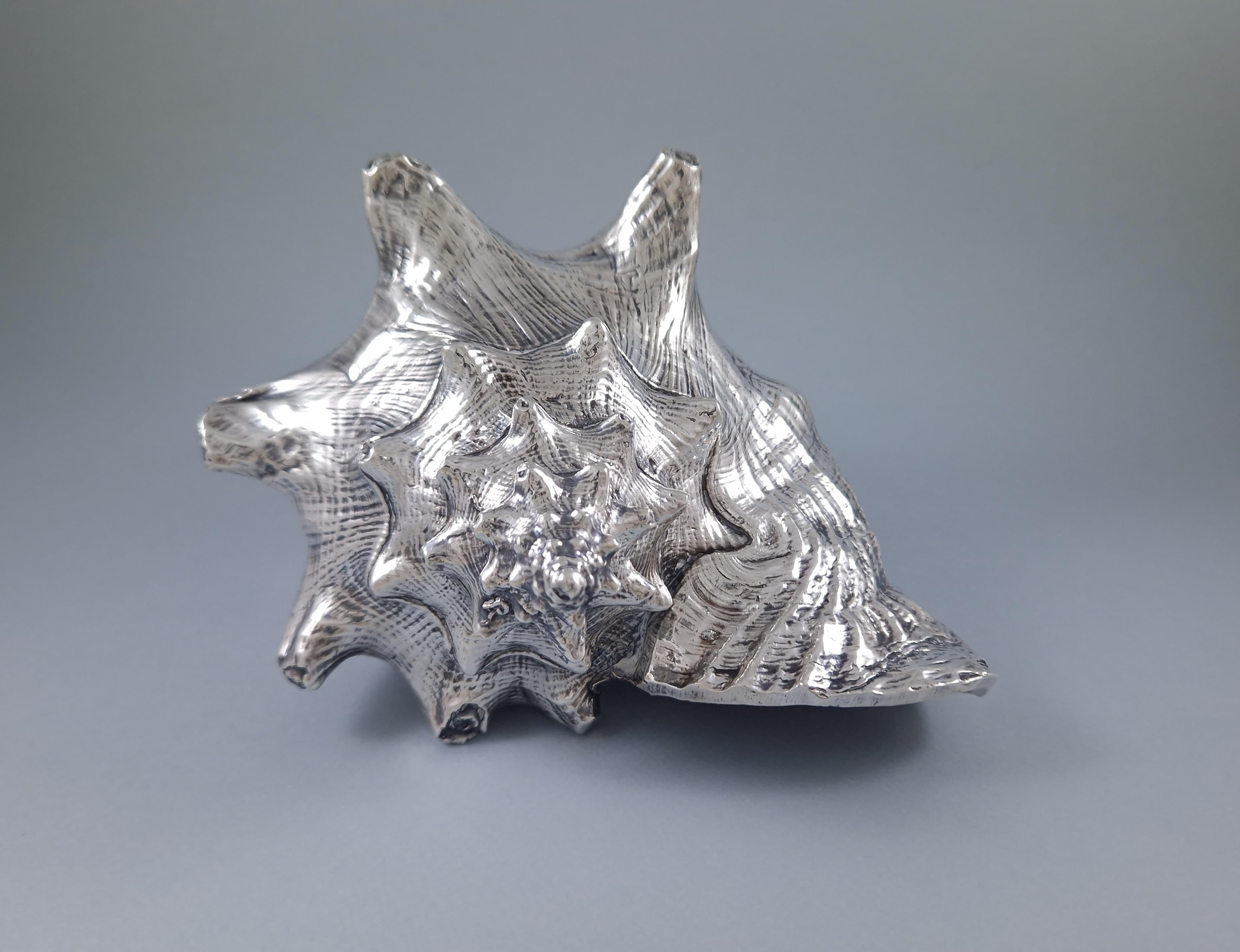 Buccellati - Large Mounted Shell In Sterling Silver In Excellent Condition In Saint-Ouen, FR