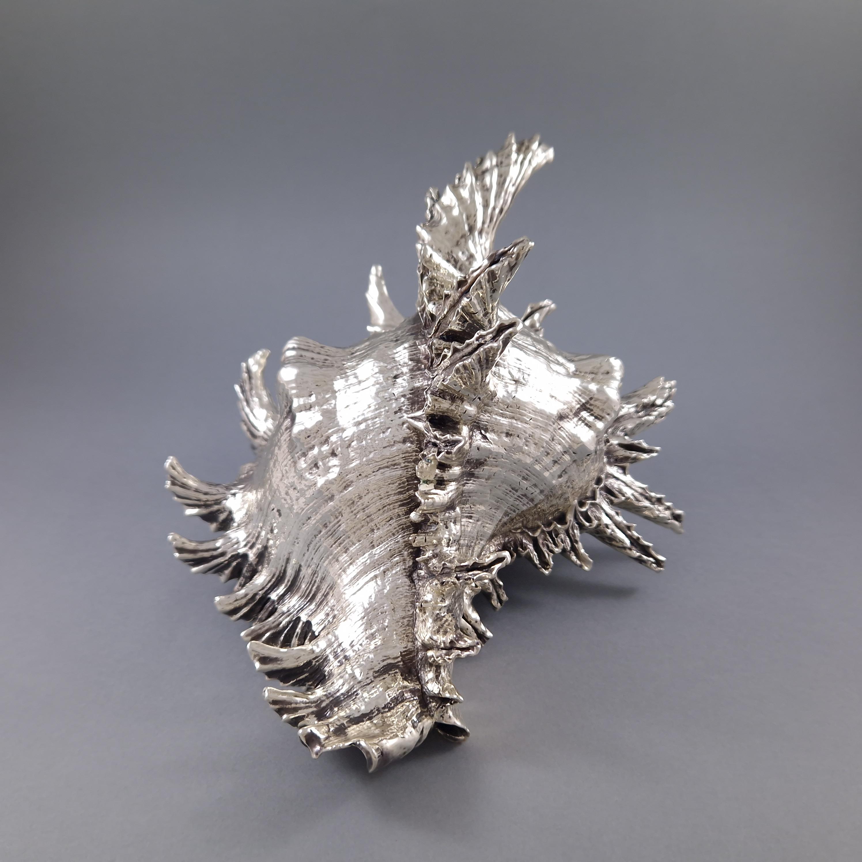 Buccellati - Large Mounted Shell In Sterling Silver In Excellent Condition In Saint-Ouen, FR