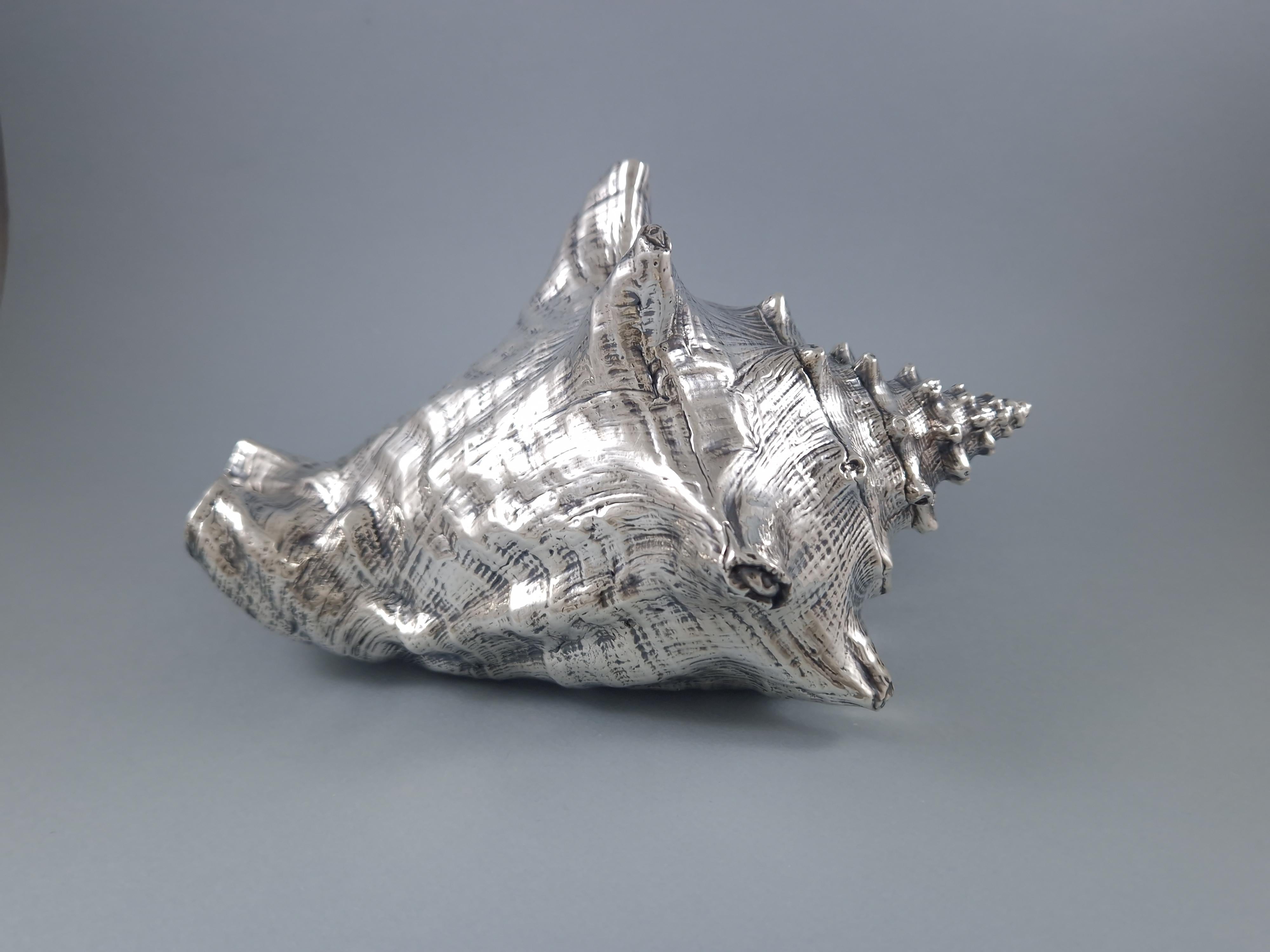 Late 20th Century Buccellati - Large Mounted Shell In Sterling Silver