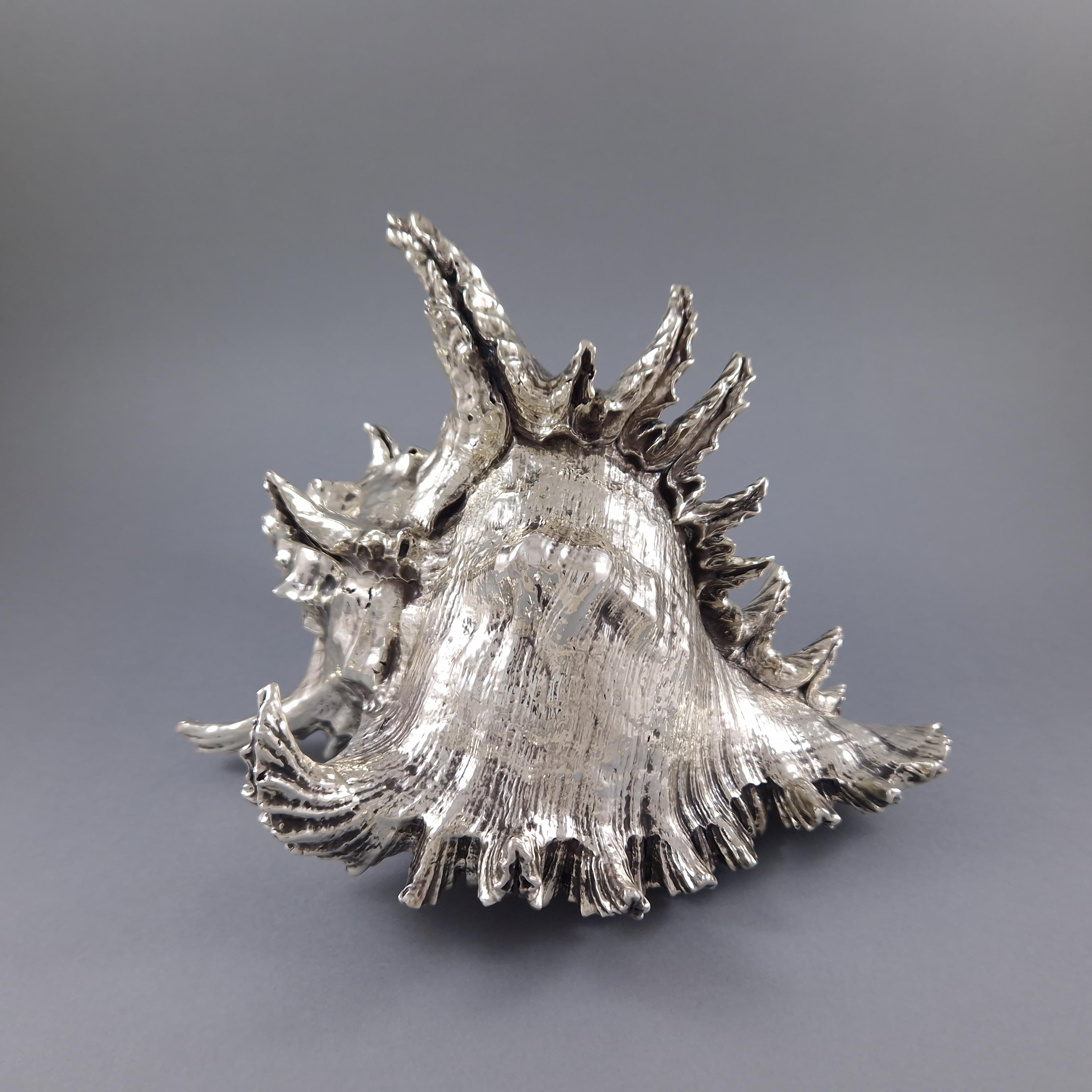 Late 20th Century Buccellati - Large Mounted Shell In Sterling Silver