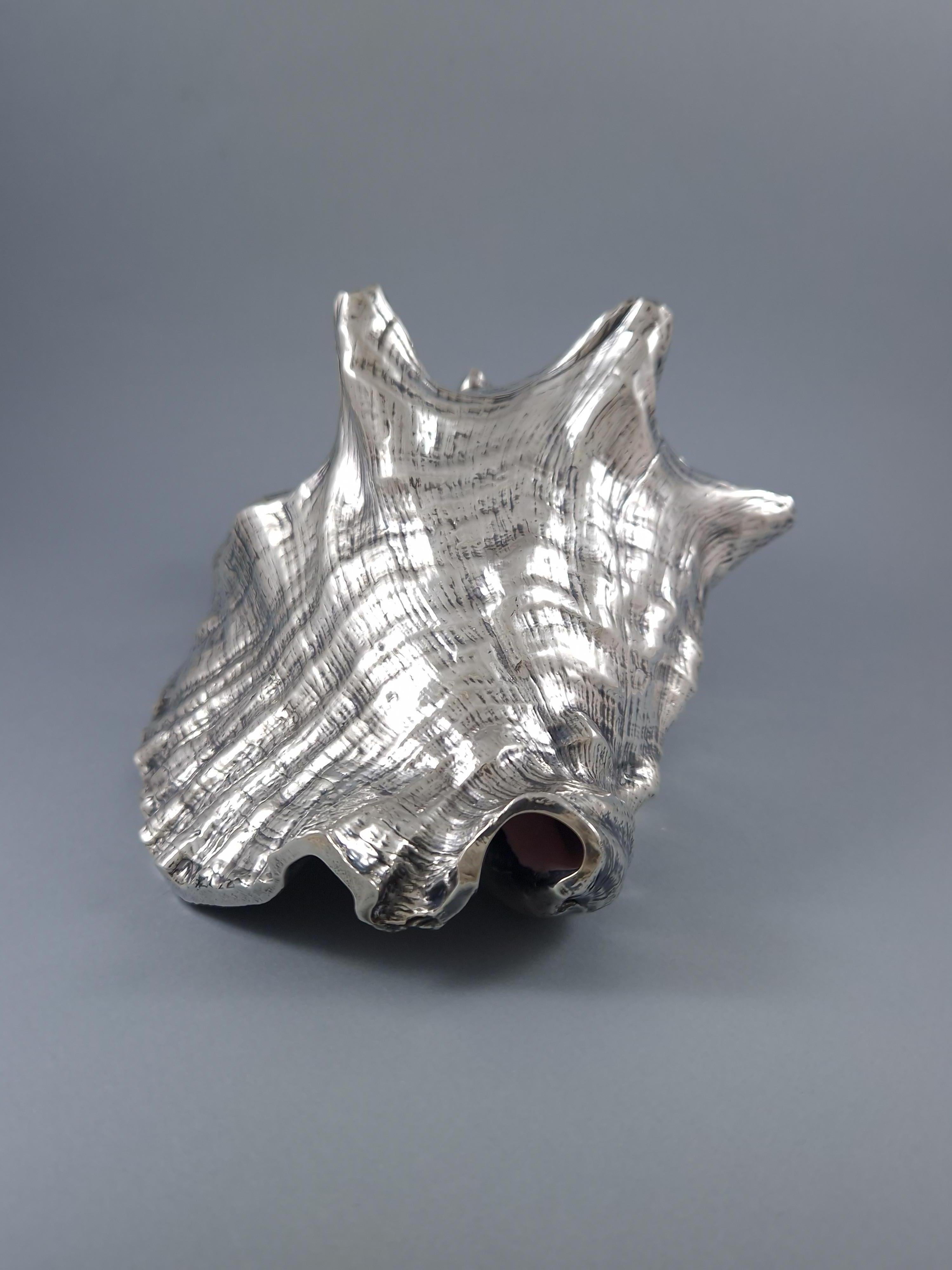 Buccellati - Large Mounted Shell In Sterling Silver 1