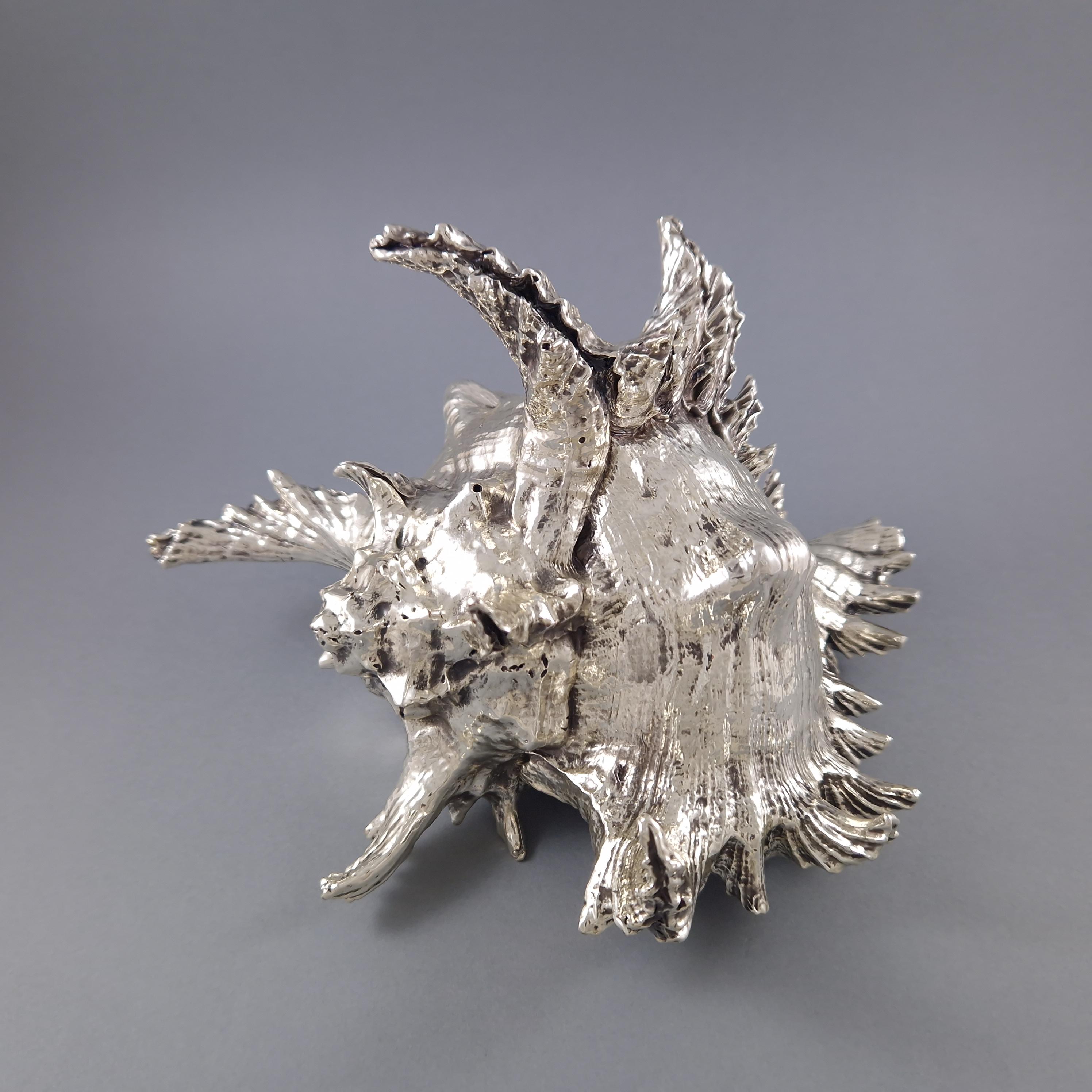 Buccellati - Large Mounted Shell In Sterling Silver 1