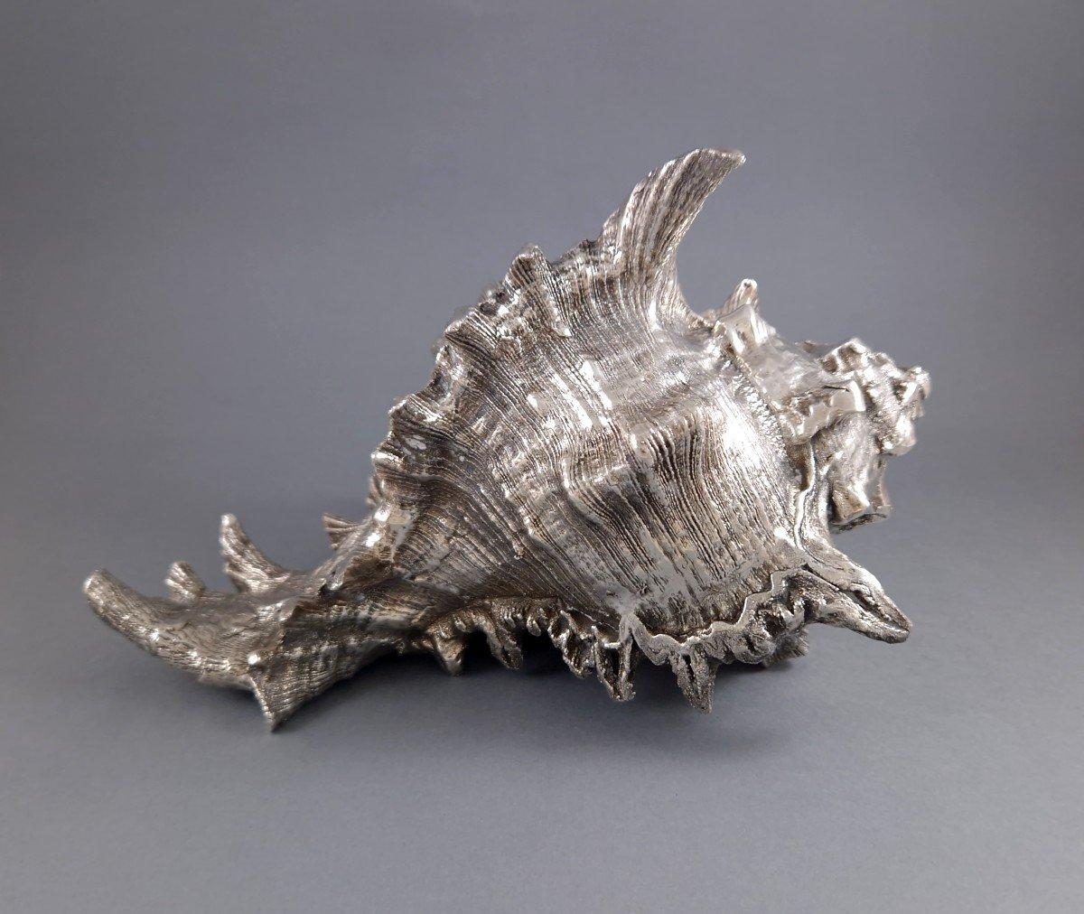 Buccellati - Large Mounted Shell In Sterling Silver 1