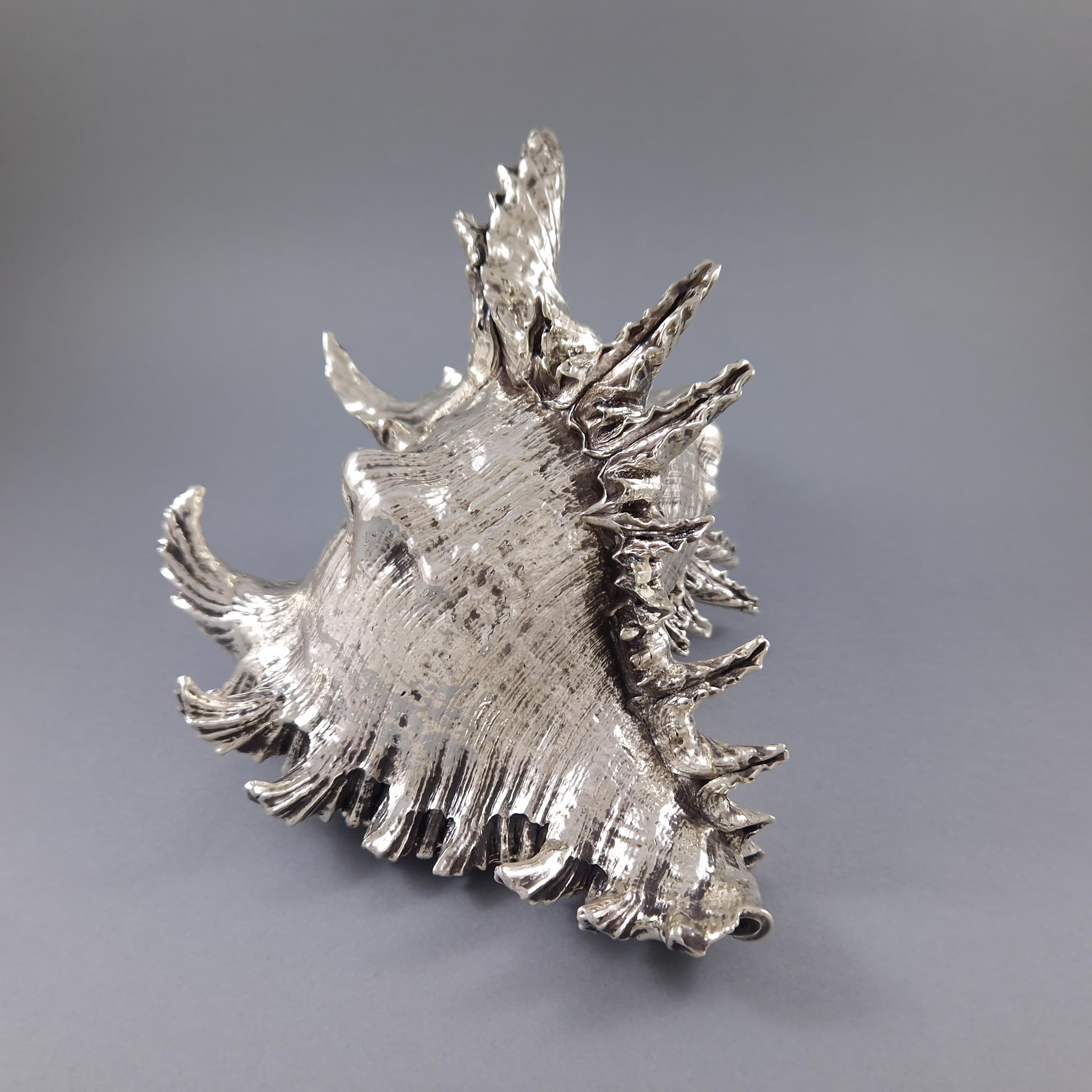 Buccellati - Large Mounted Shell In Sterling Silver 2