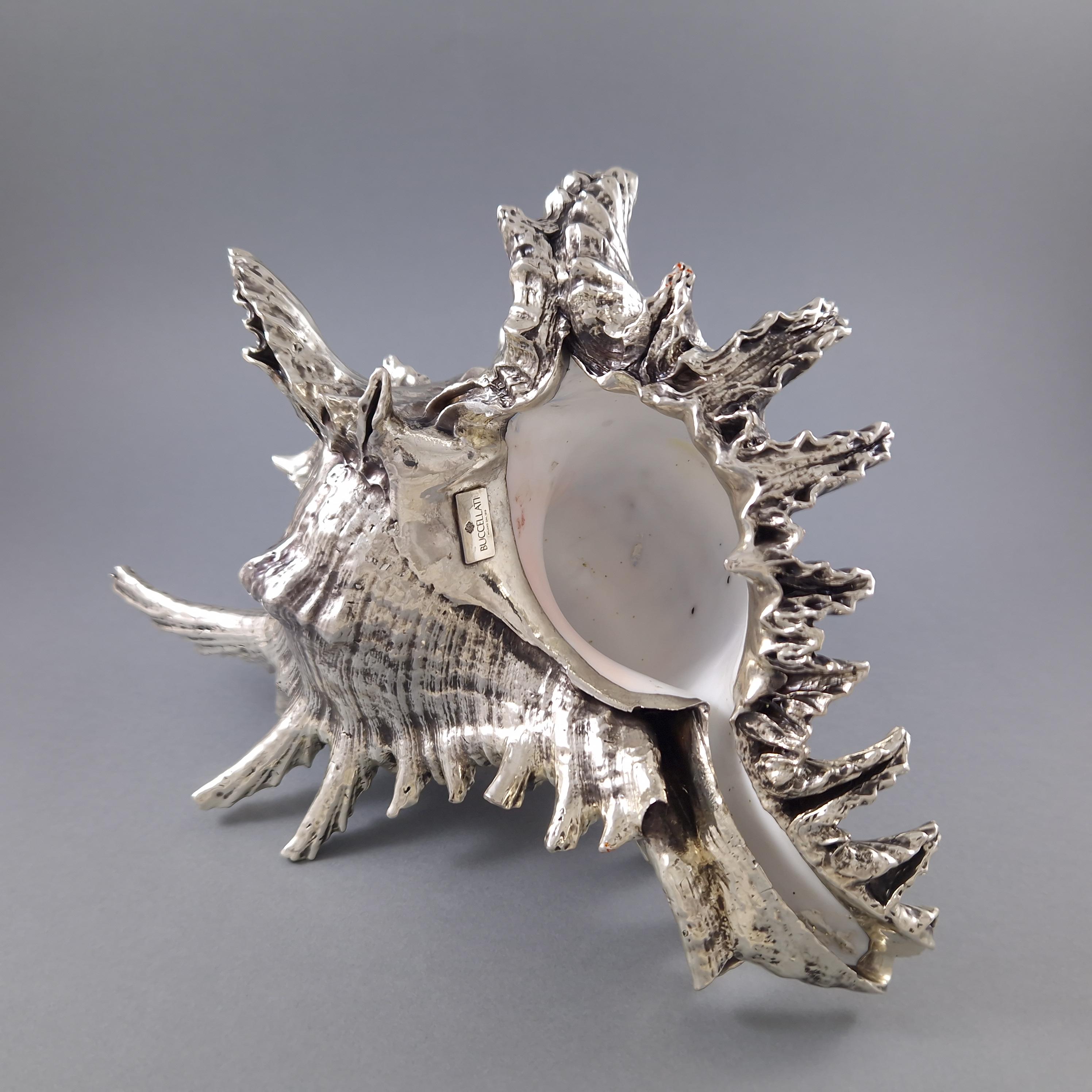 Buccellati - Large Mounted Shell In Sterling Silver 3
